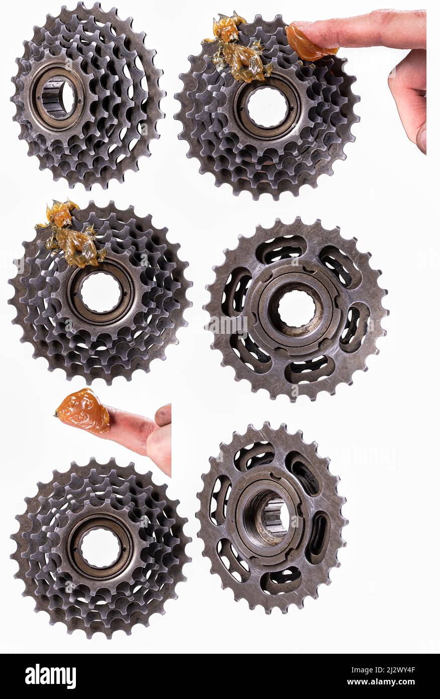 Bicycle freewheel wheel ready for grease lubrication. Isolated