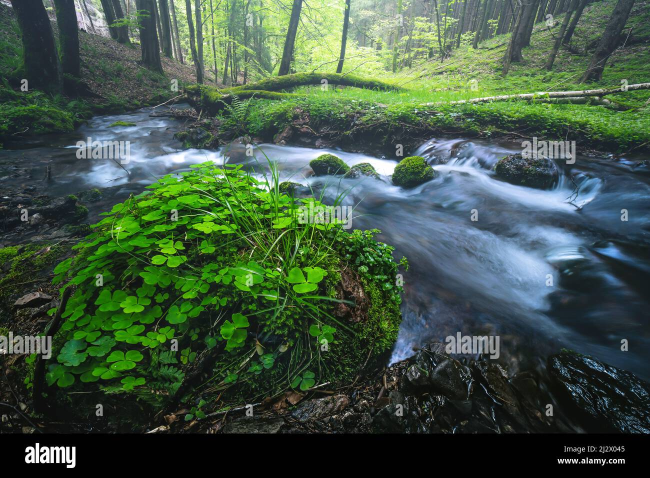 Tambach Tambach thuringia germany hi-res stock photography and images - Alamy