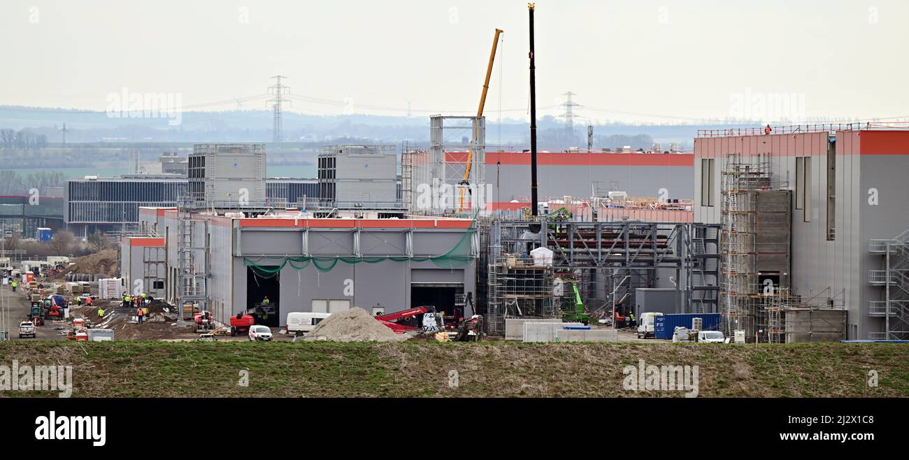 fertilizer plant food Indoor Plant Food | Fertilizer main image 0