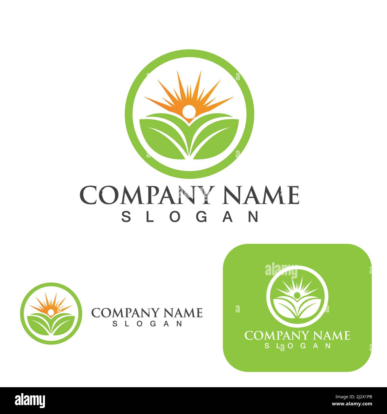 Leaf green logo nature vector Stock Vector Image & Art - Alamy