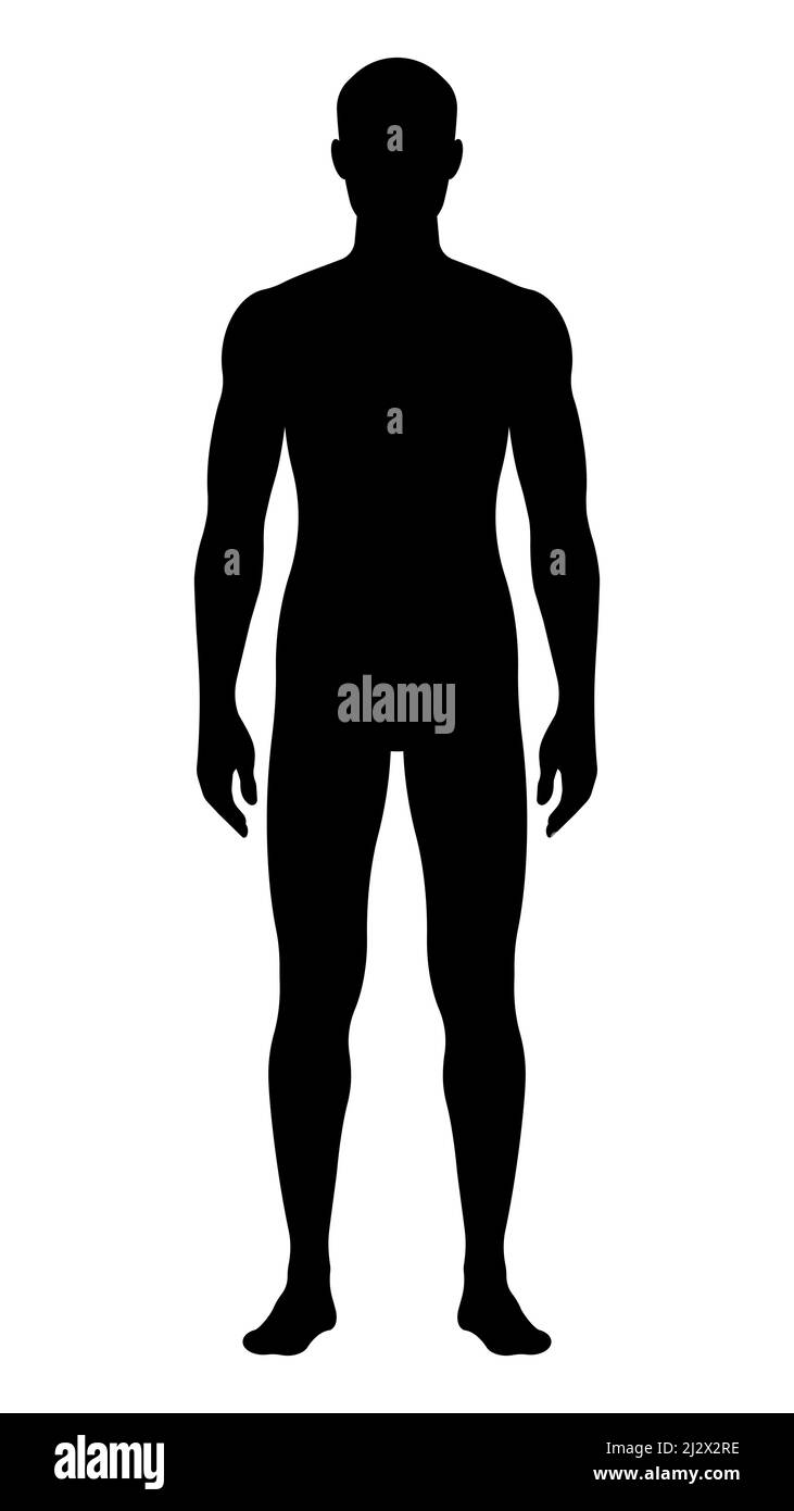 https://c8.alamy.com/comp/2J2X2RE/man-silhouette-standing-solid-black-shape-of-human-body-slim-male-body-front-view-modern-perfect-vector-2J2X2RE.jpg
