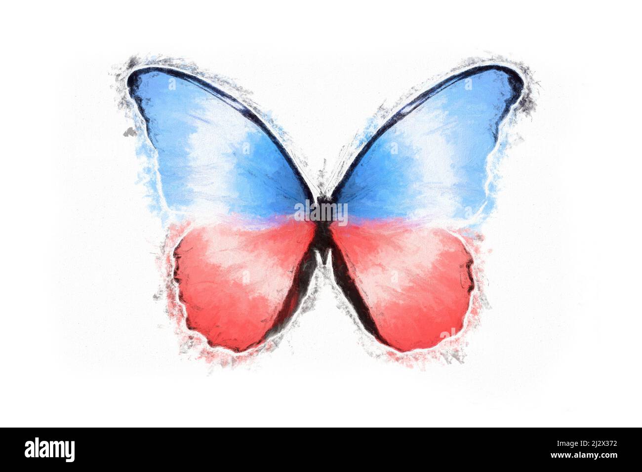 butterfly with red blue wings isolated on white background. High quality photo Stock Photo