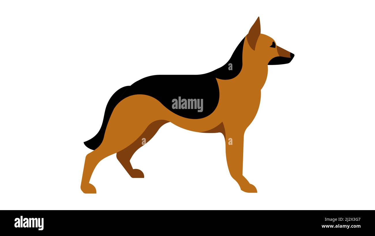 German Shepherd. Full height dog, silhouette. Vector isolated illustration of a thoroughbred dog. Stock Vector