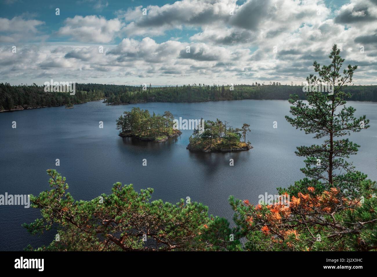 Small islands in Lake Stensjön in the Tyresta National Park in Sweden ...