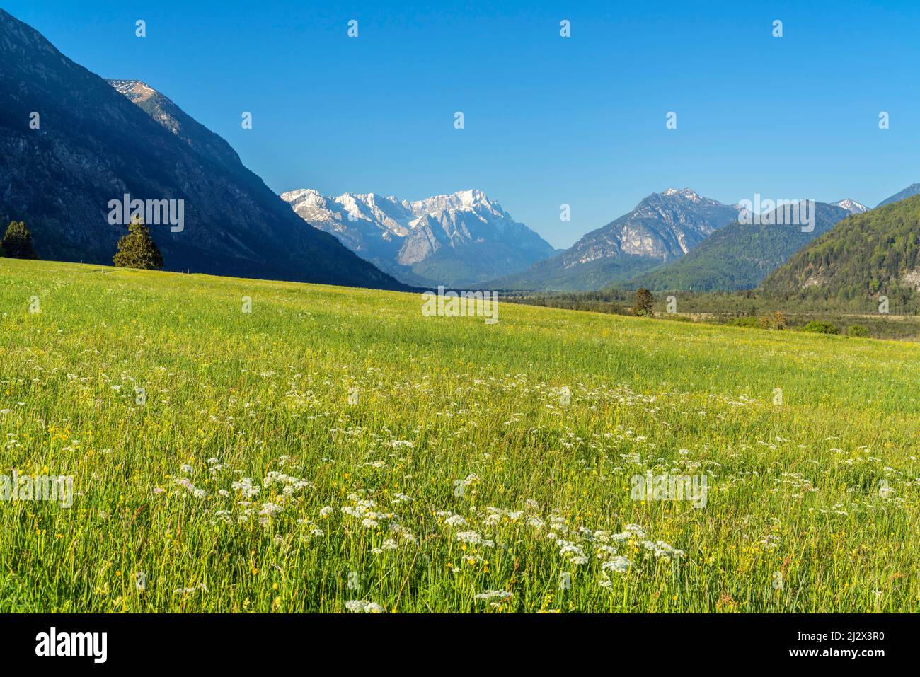 View of Wetterstein Mountains with Zugspitze (2,962 m), Eschenlohe, Upper Bavaria, Bavaria, Germany Stock Photo