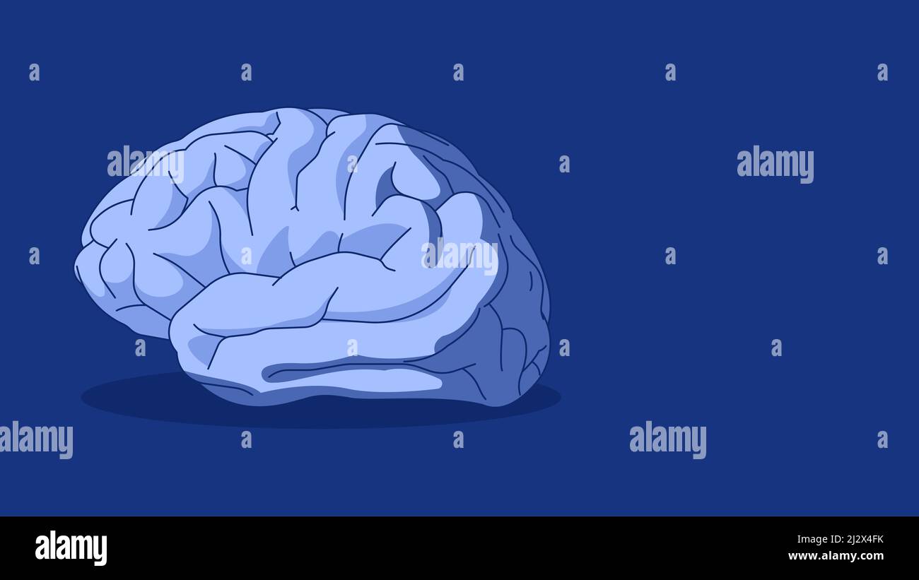 The human brain on a blue background. Vector illustration, template for ...