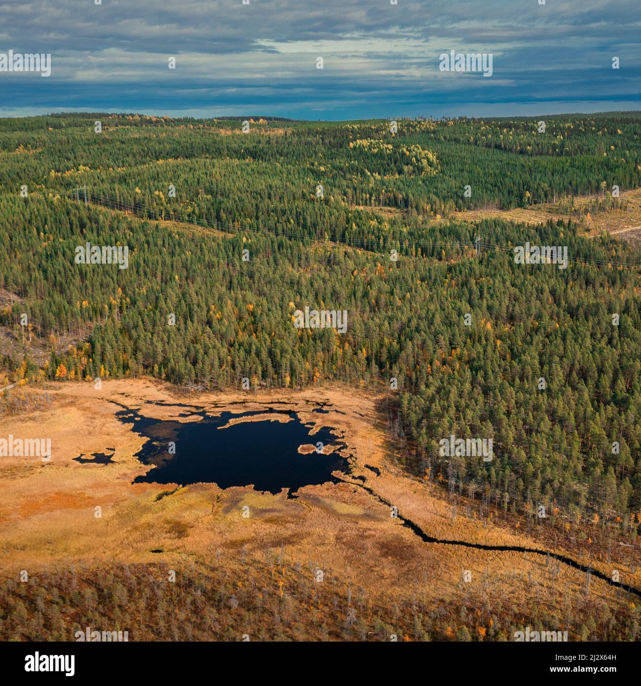 Wild landscape with forest and lake in autumn in Jämtland in Sweden from above Stock Photo