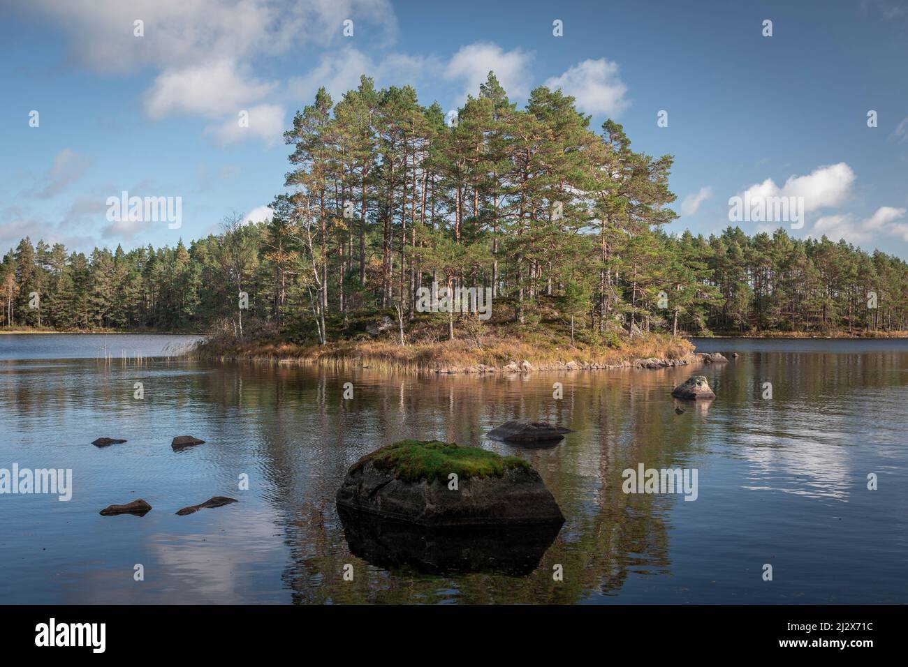 Trees on island in the lake of Tiveden National Park in Sweden Stock Photo