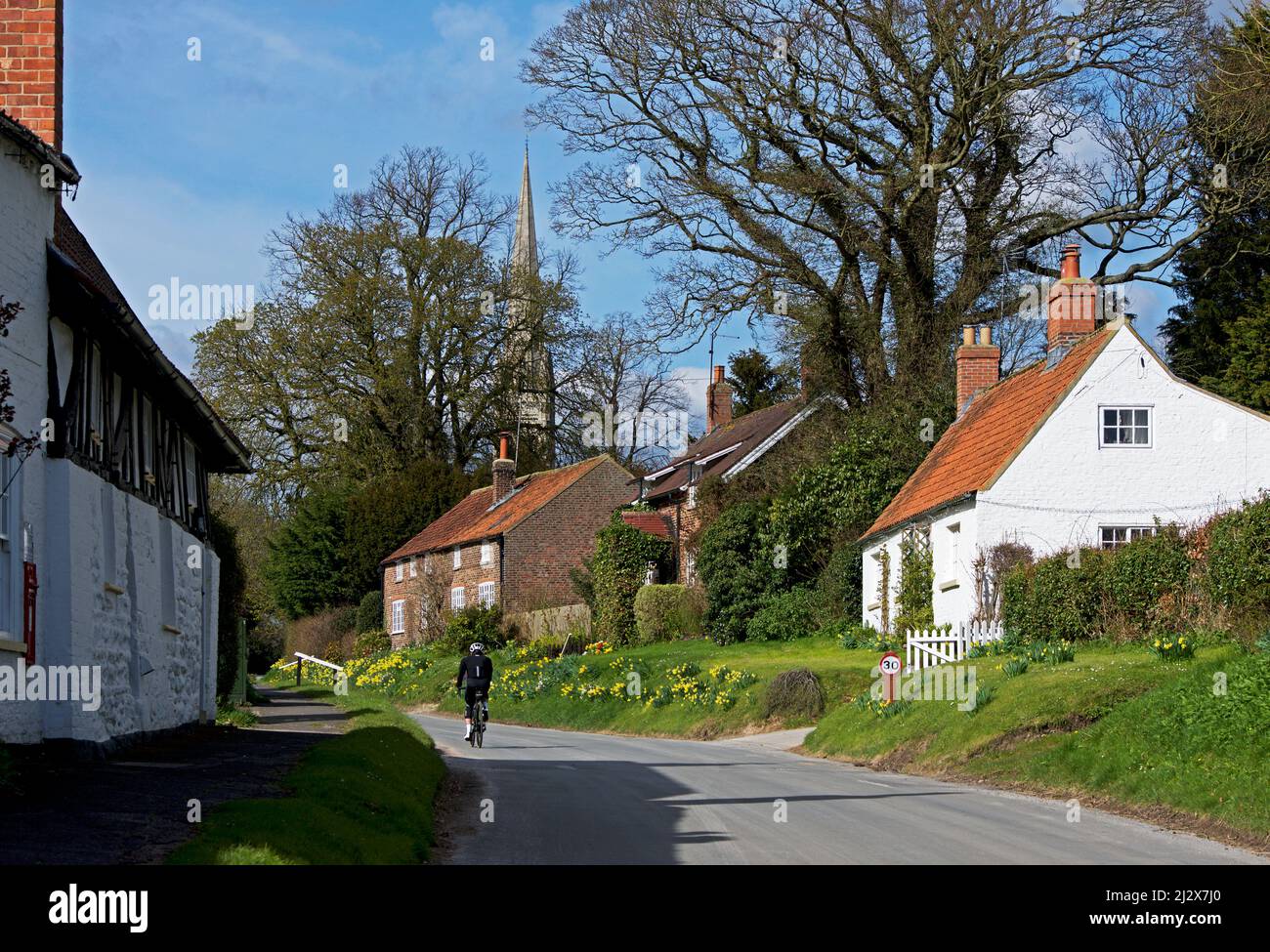 Male cyclist in the village of South Dalton, East Yorkshire, England UK Stock Photo
