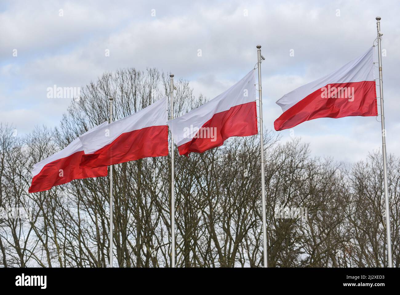 Polish folds fluttering in the wind Stock Photo Alamy