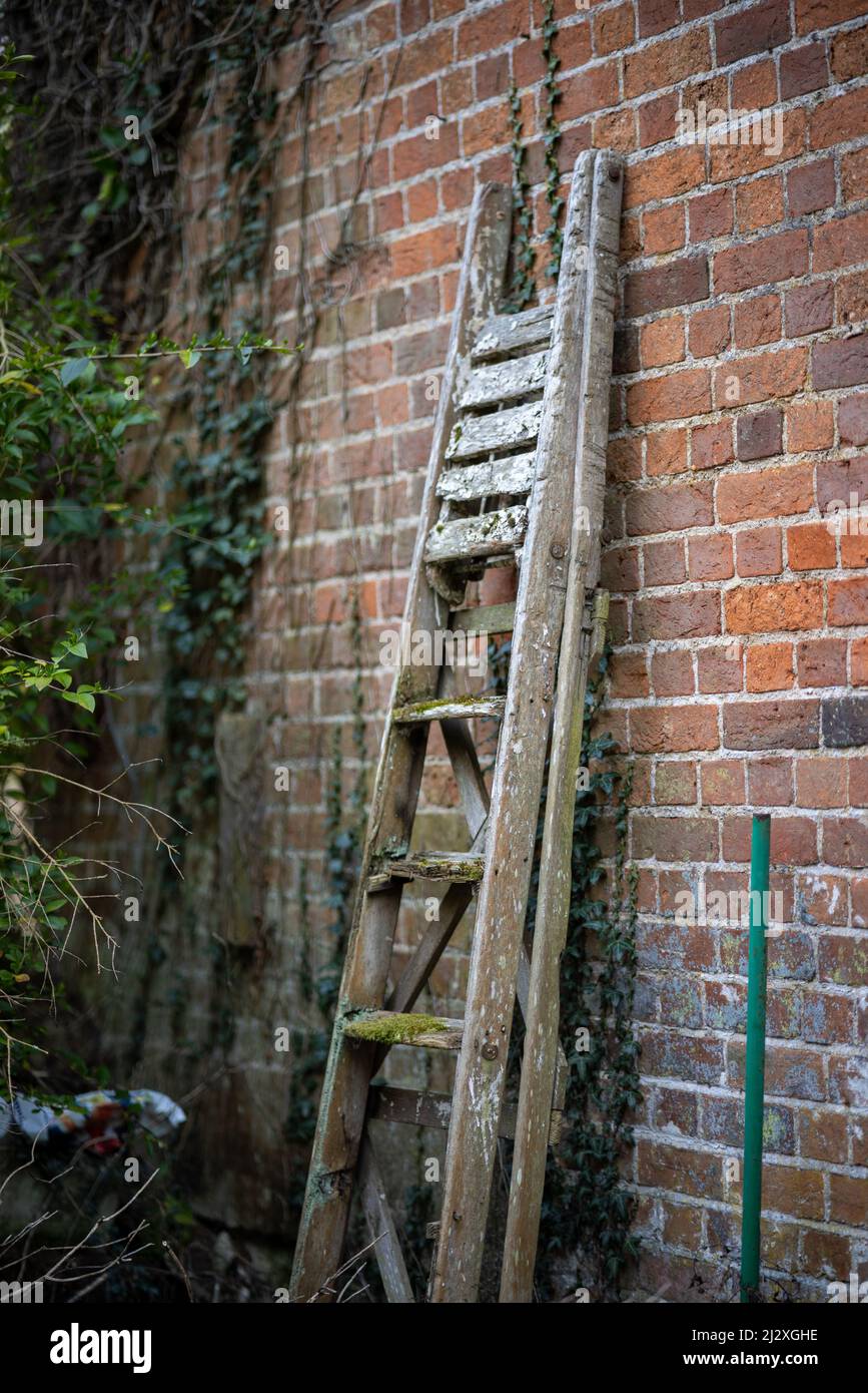 Old wooden ladder Stock Photo Alamy