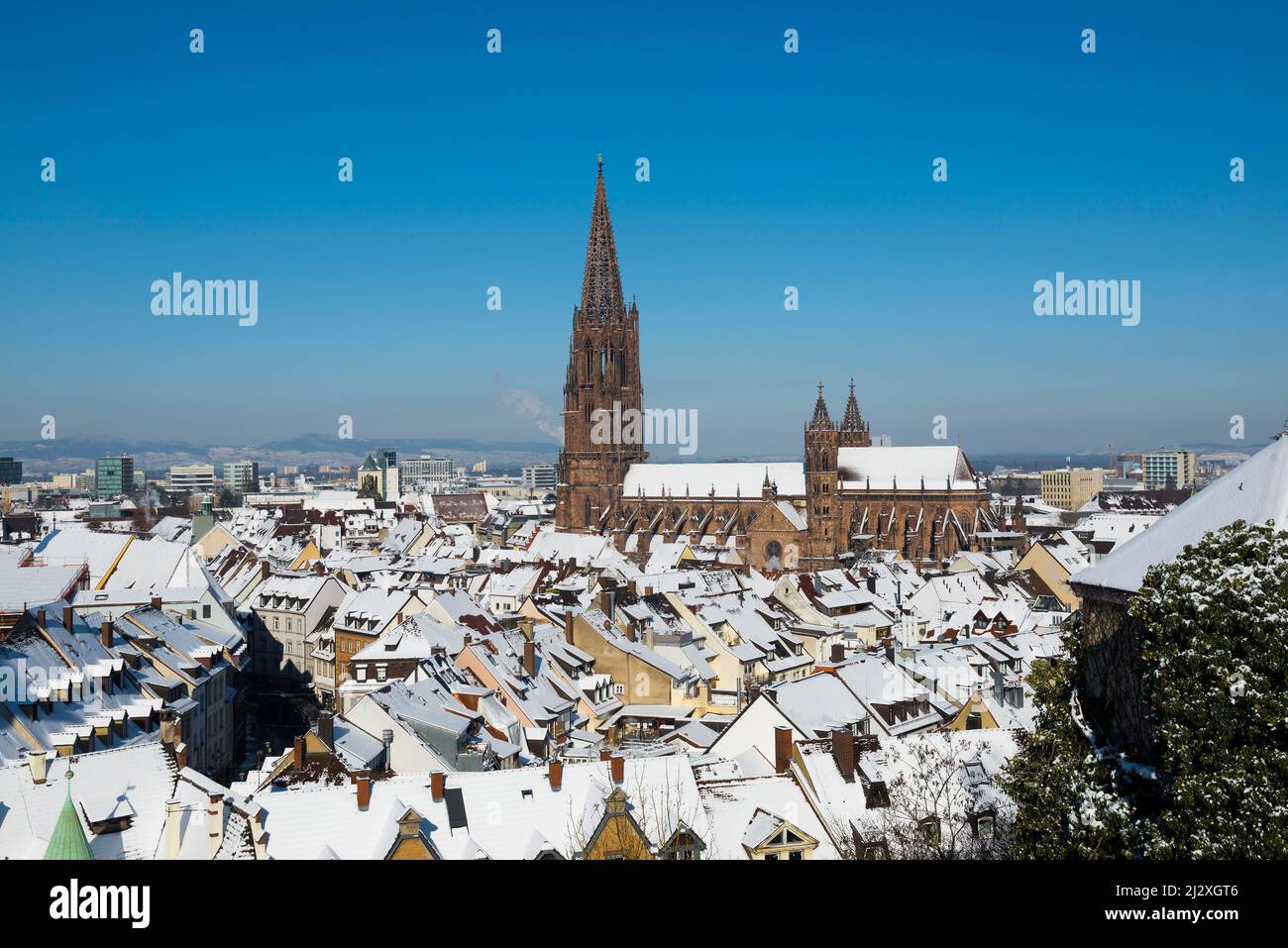 Winter mood with snow, Freiburg Minster, Freiburg im Breisgau, Black Forest, Baden-Württemberg, Germany Stock Photo