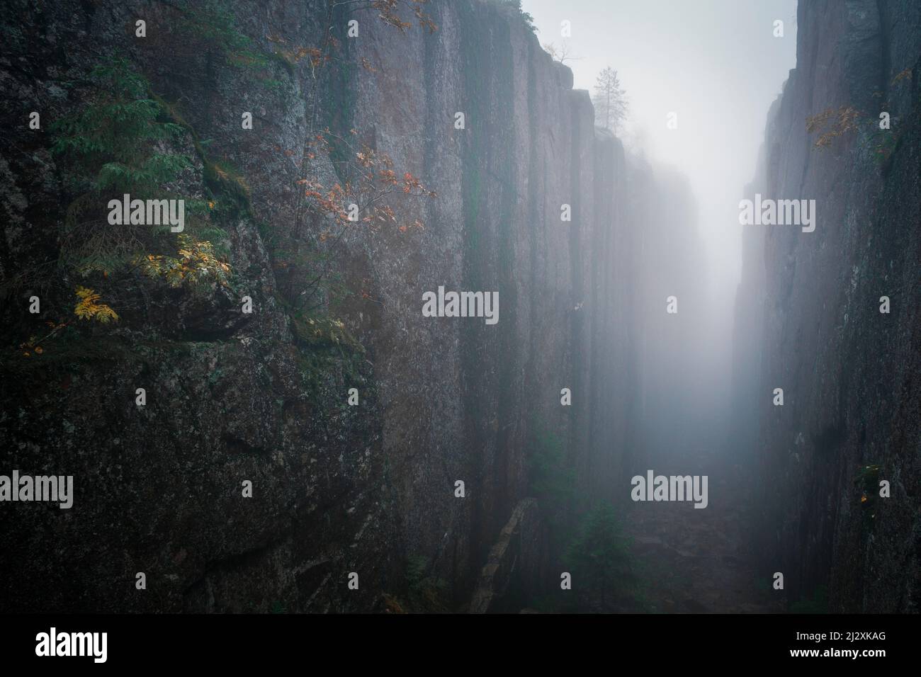 Slåttdalsskrevan canyon with fog in Skuleskogen National Park in eastern Sweden Stock Photo