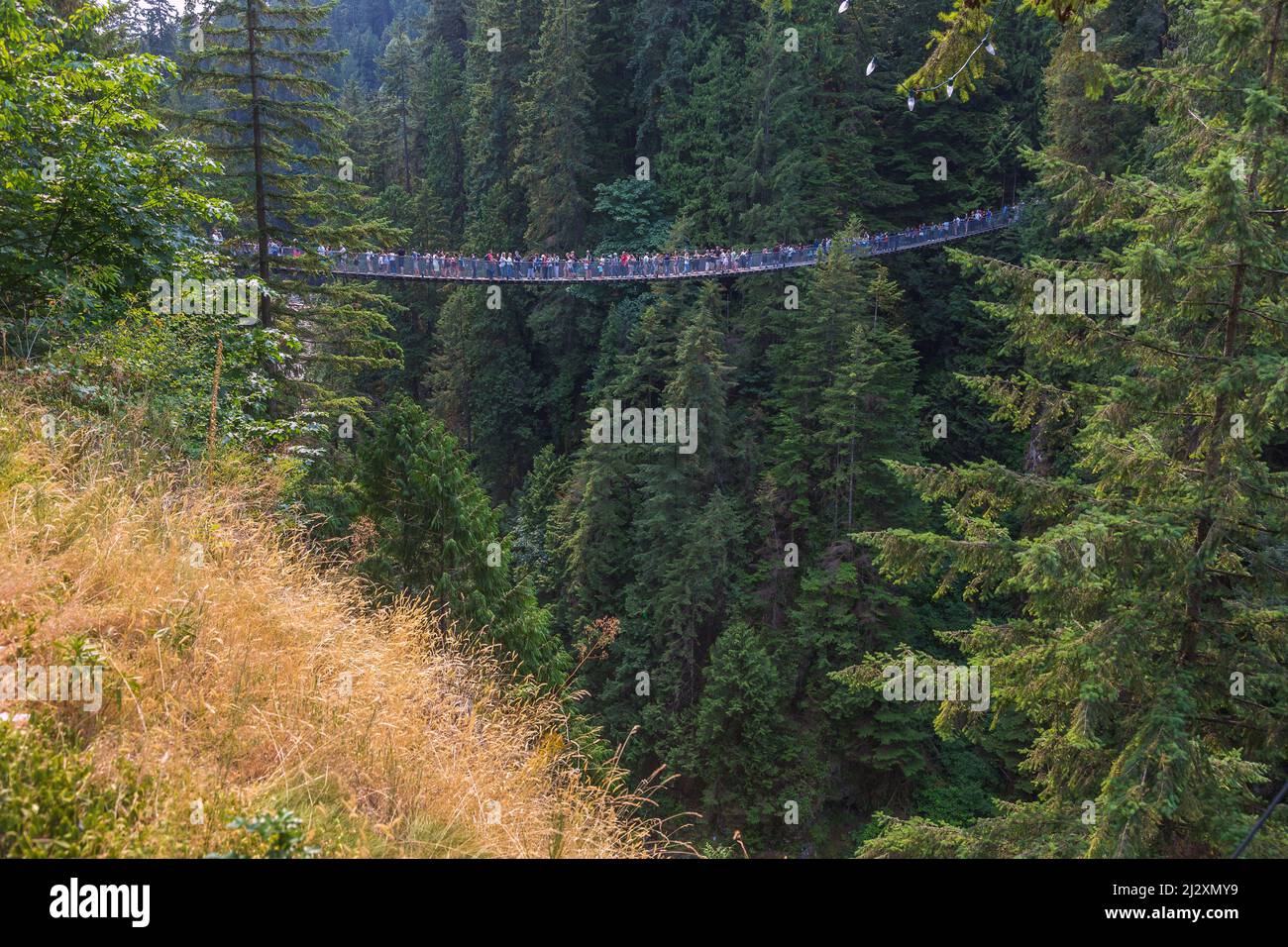 Vancouver, North Vancouver, Capilano Suspension Bridge Stock Photo Alamy