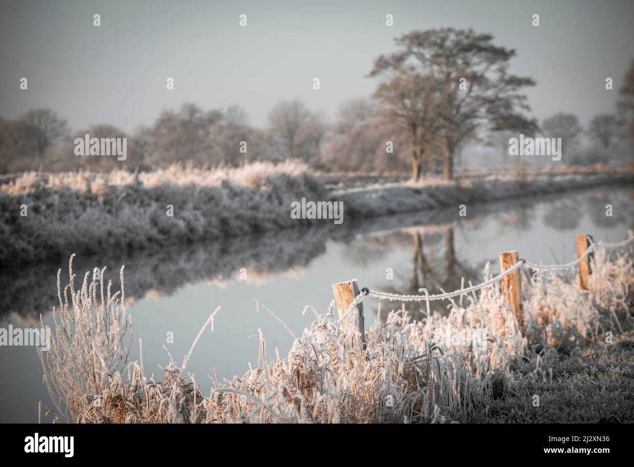 The Friedeburg Deep in frost, Etzel, East Friesland, Lower Saxony, Germany, Europe Stock Photo
