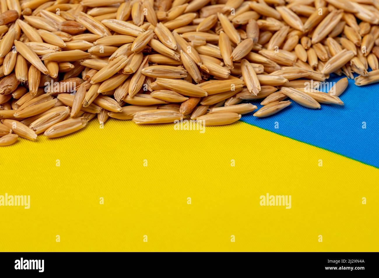 Ukraine flag and oats. Cereal grain exports, production and farming concept. Stock Photo