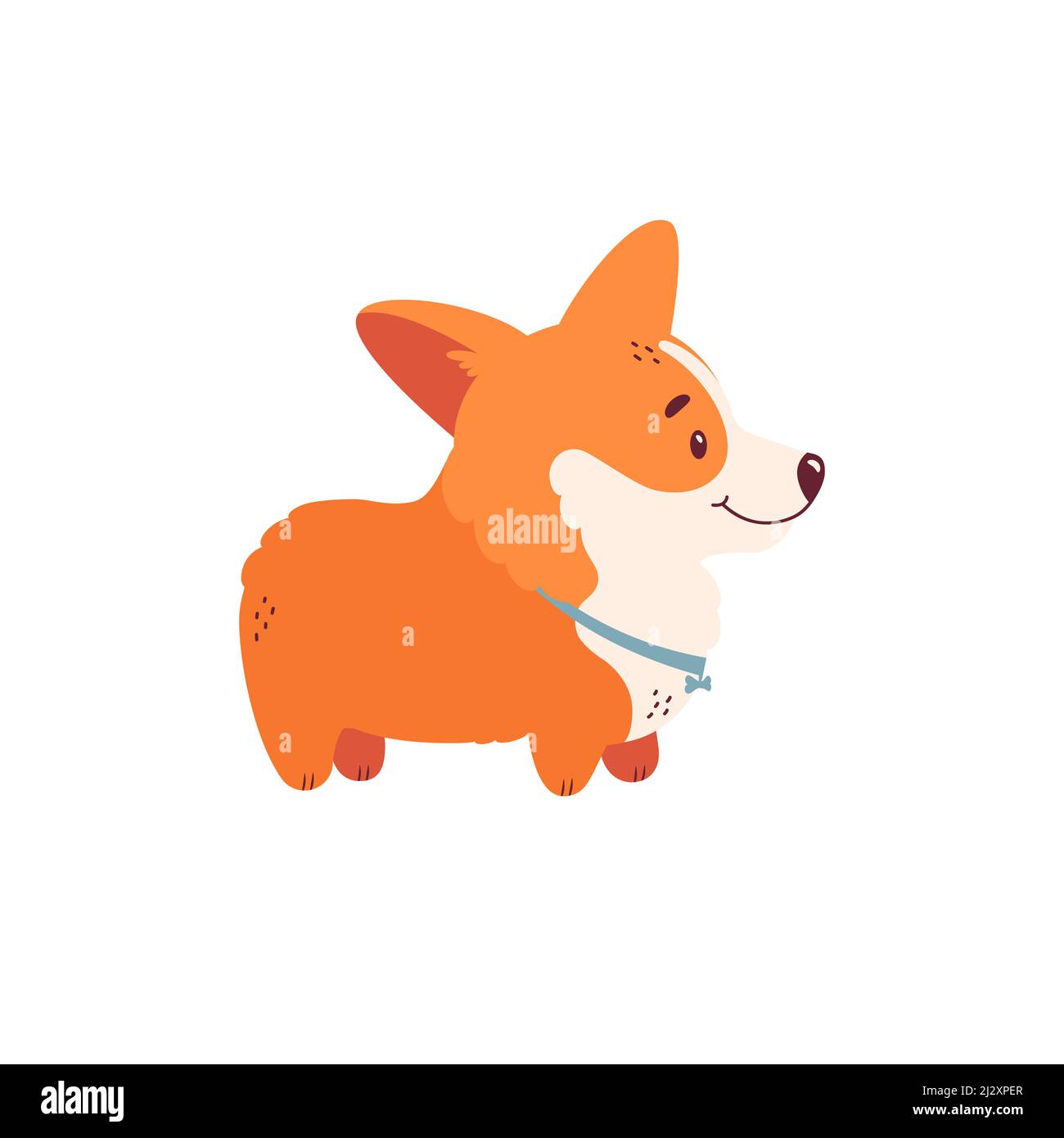 Welsh corgi puppy isolated on white background. Cute dog character. Side view. Vector illustration. Stock Vector