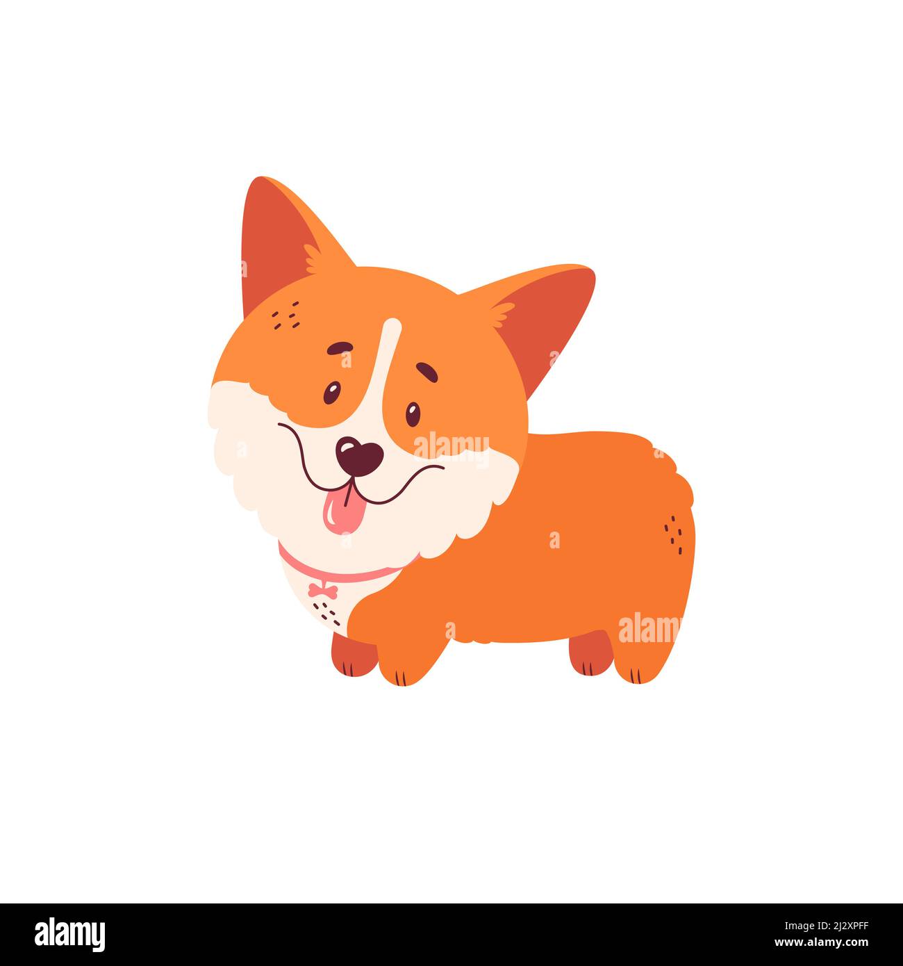 Welsh corgi puppy isolated on white background. Cute dog character. Vector illustration. Stock Vector