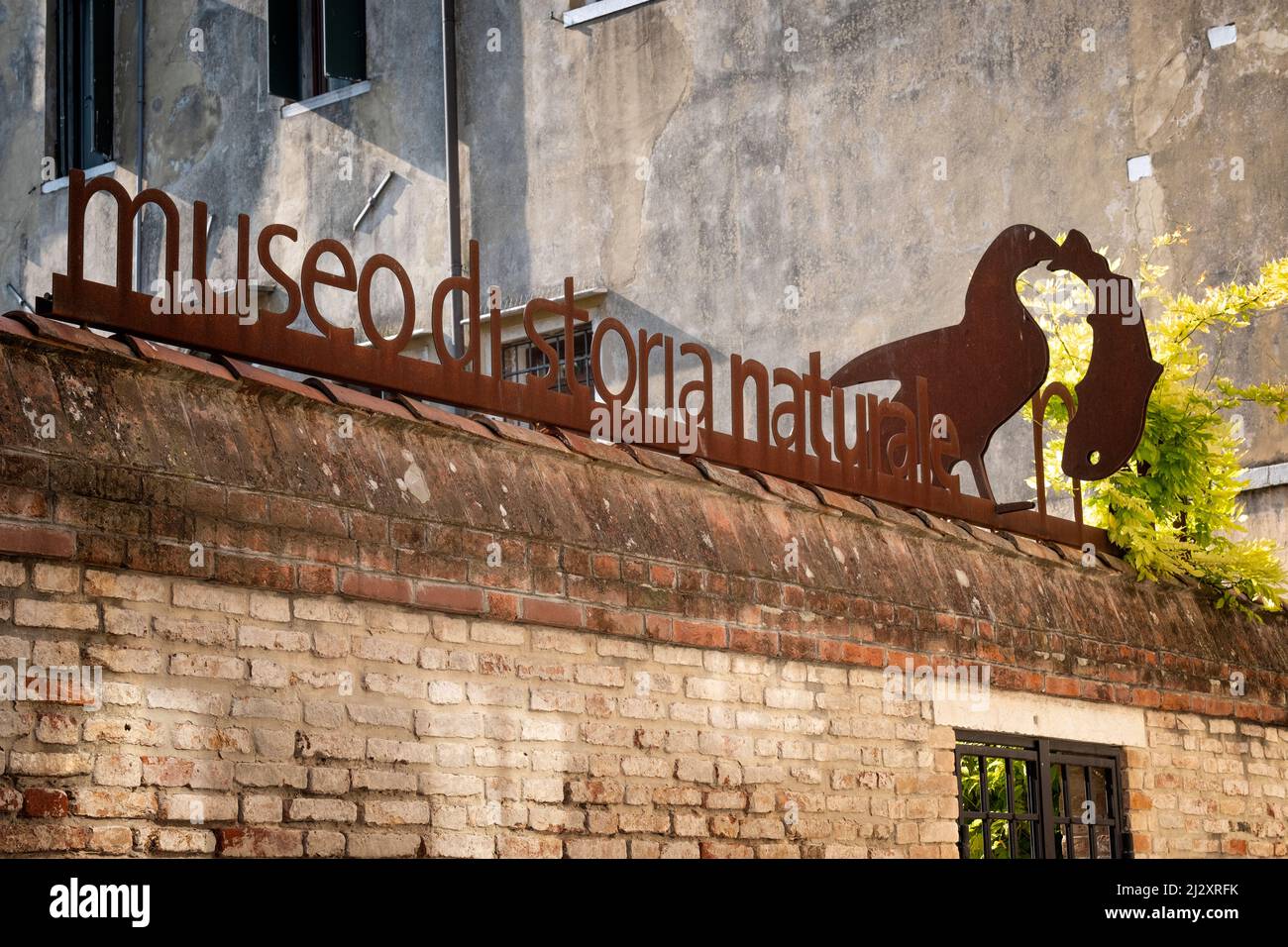 Entrance to the Museo di storia naturale in Venice, Veneto, Adriatic Sea, Italy, Europe Stock Photo