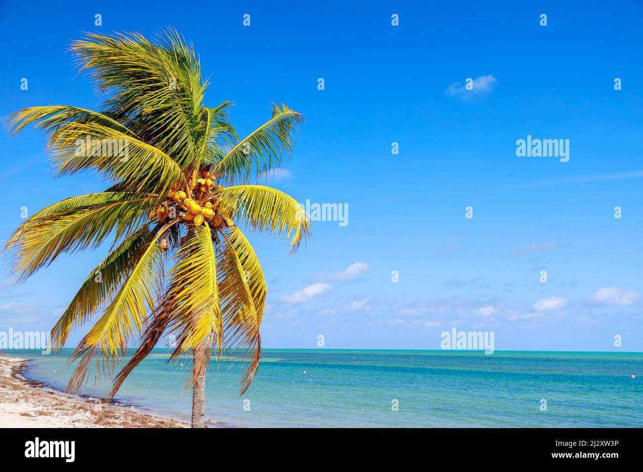 A beautiful view of the calm ocean gleaming under the cloudy blue sky ...