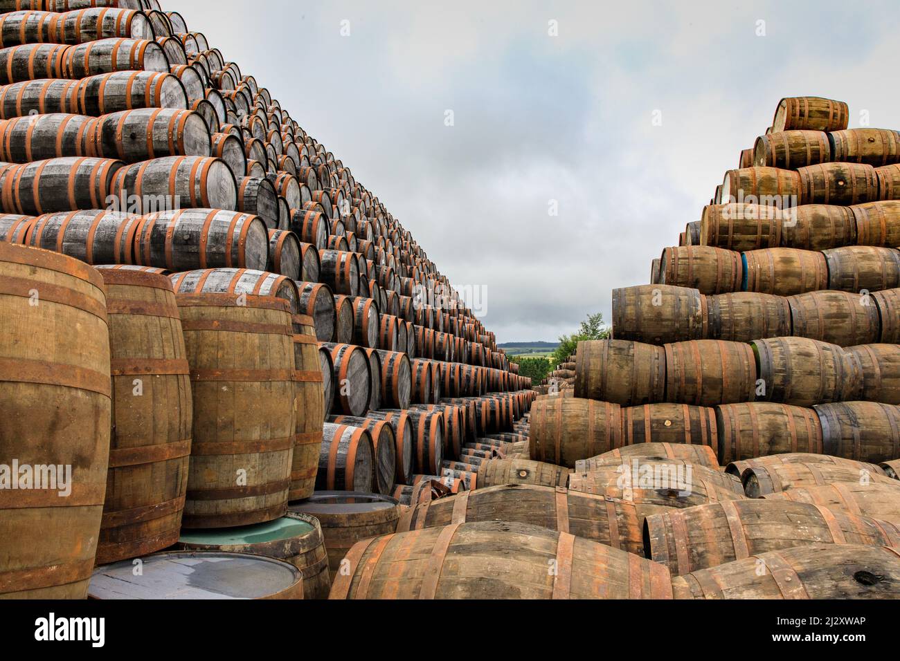 Barrel mountains, pyramids of used whiskey barrels before processing, Speyside Cooperage, Craigellachie, Scotland UK Stock Photo