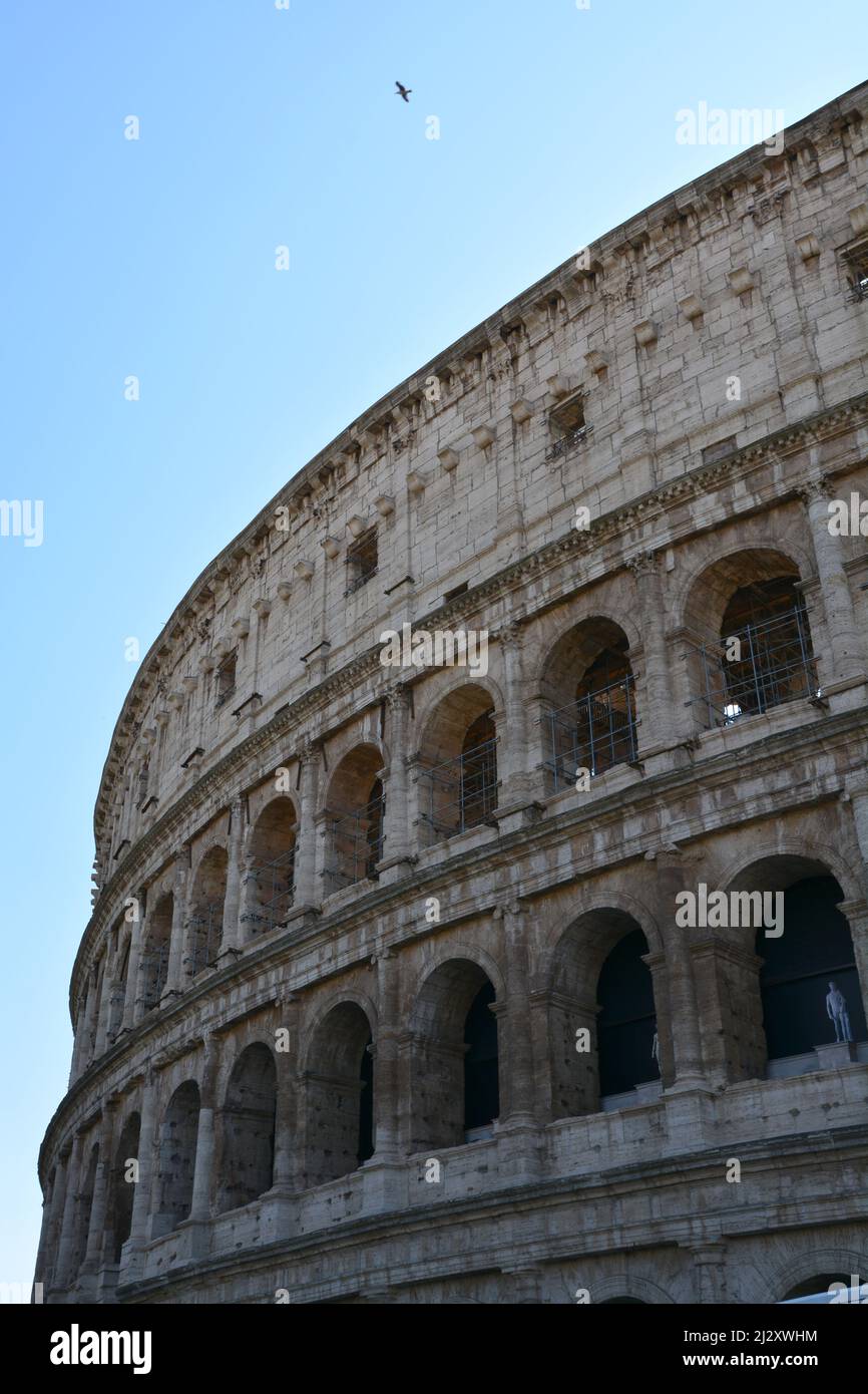 the colosseum in Rome Stock Photo