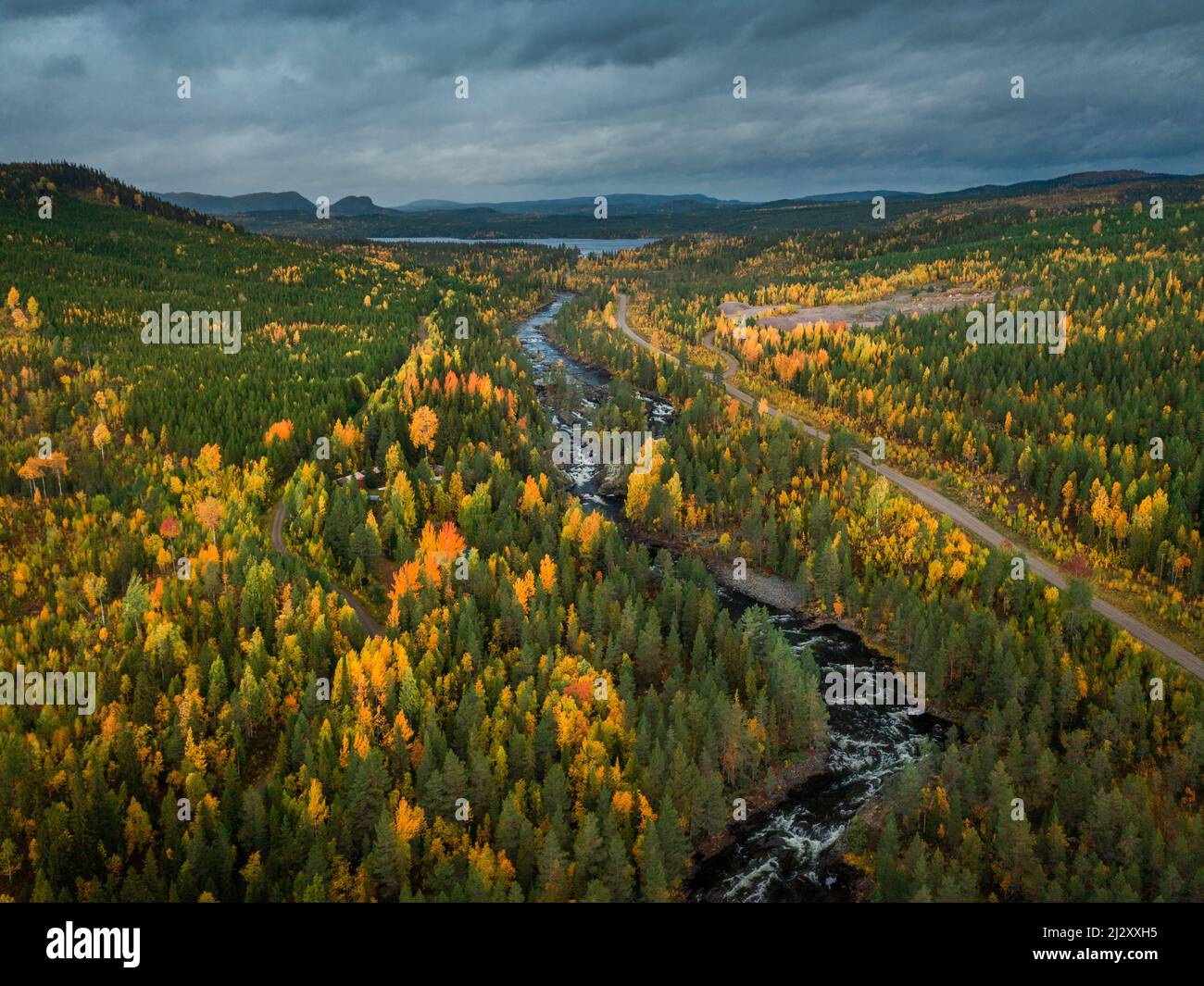 River through autumn forest in Jämtland in Sweden, along the Wilderness Road, from above Stock Photo