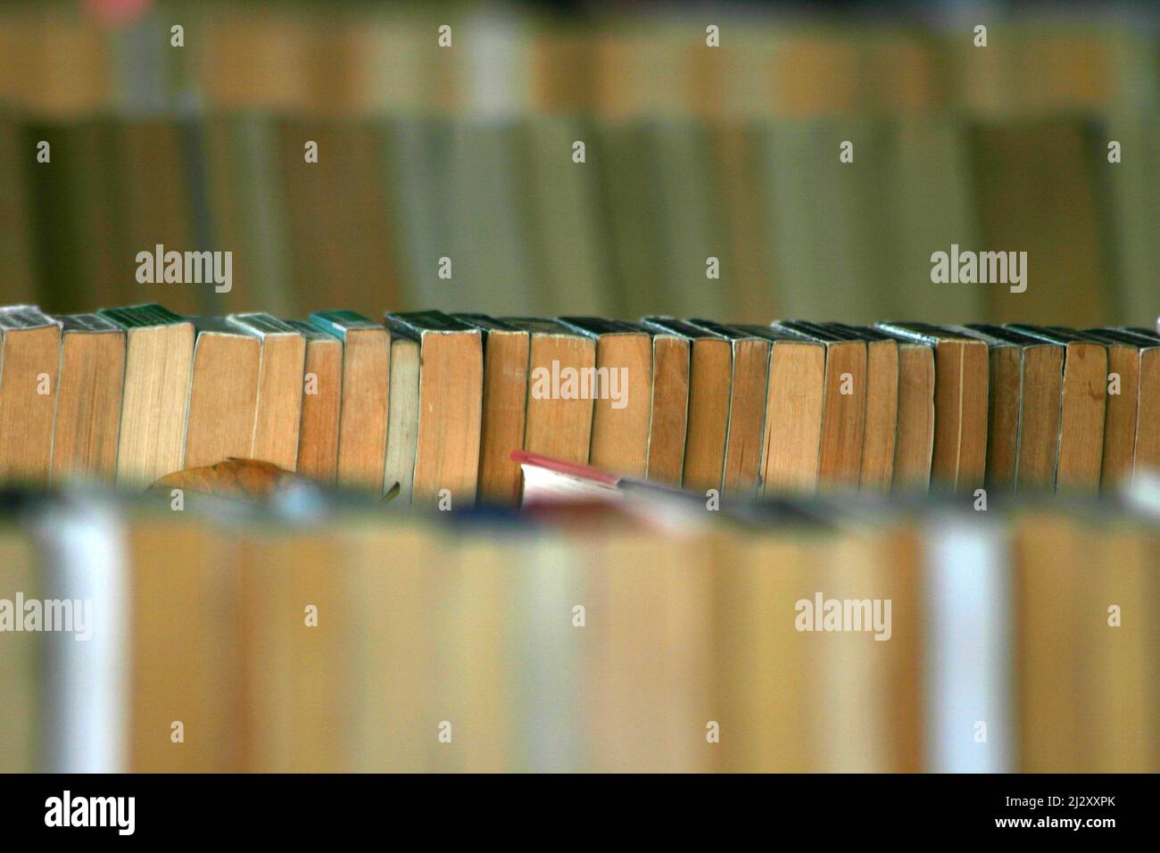 Faded Literature. Rows of old and yellowing paperback books on display