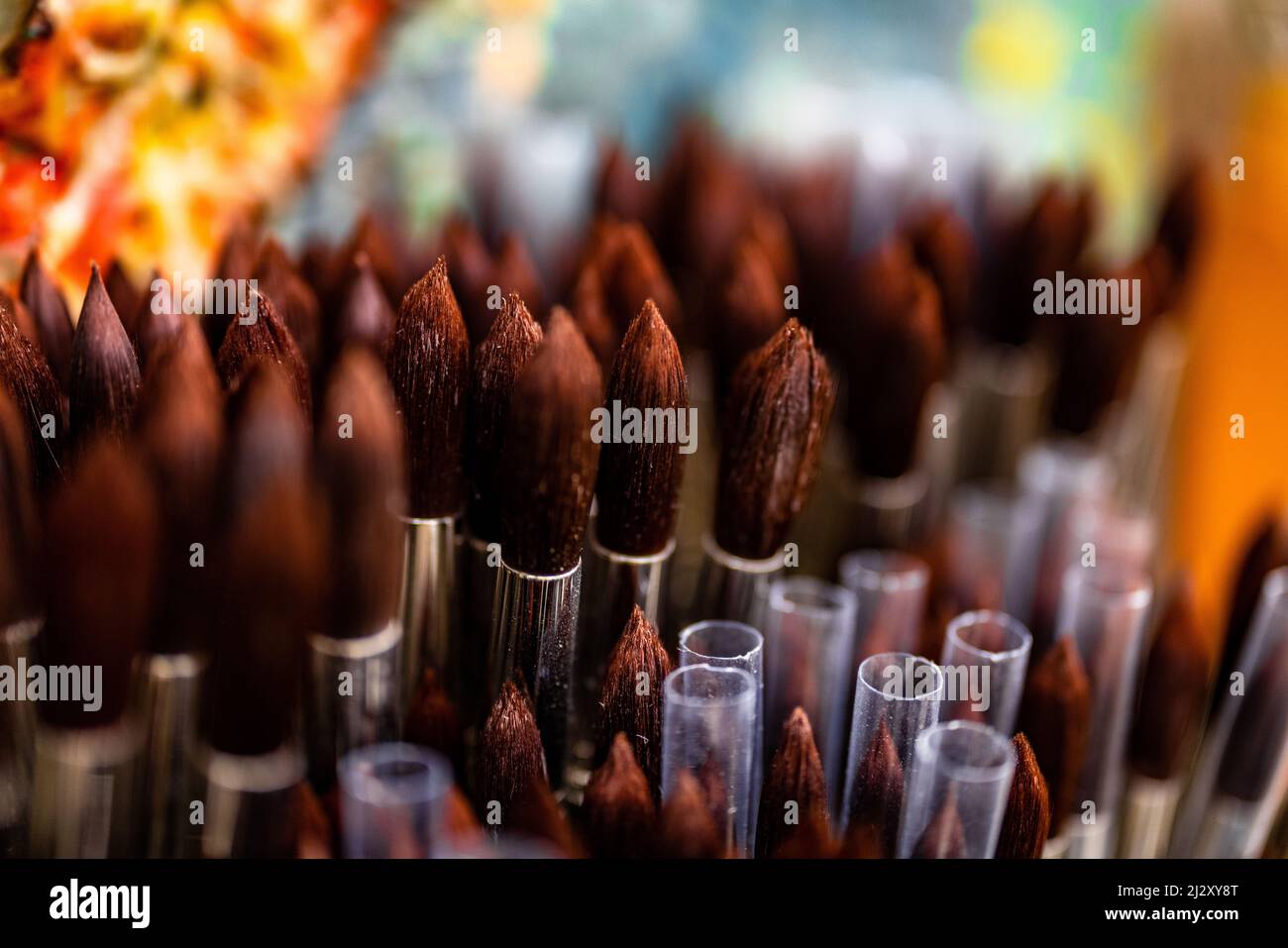 Brushes in art supplies store Stock Photo Alamy