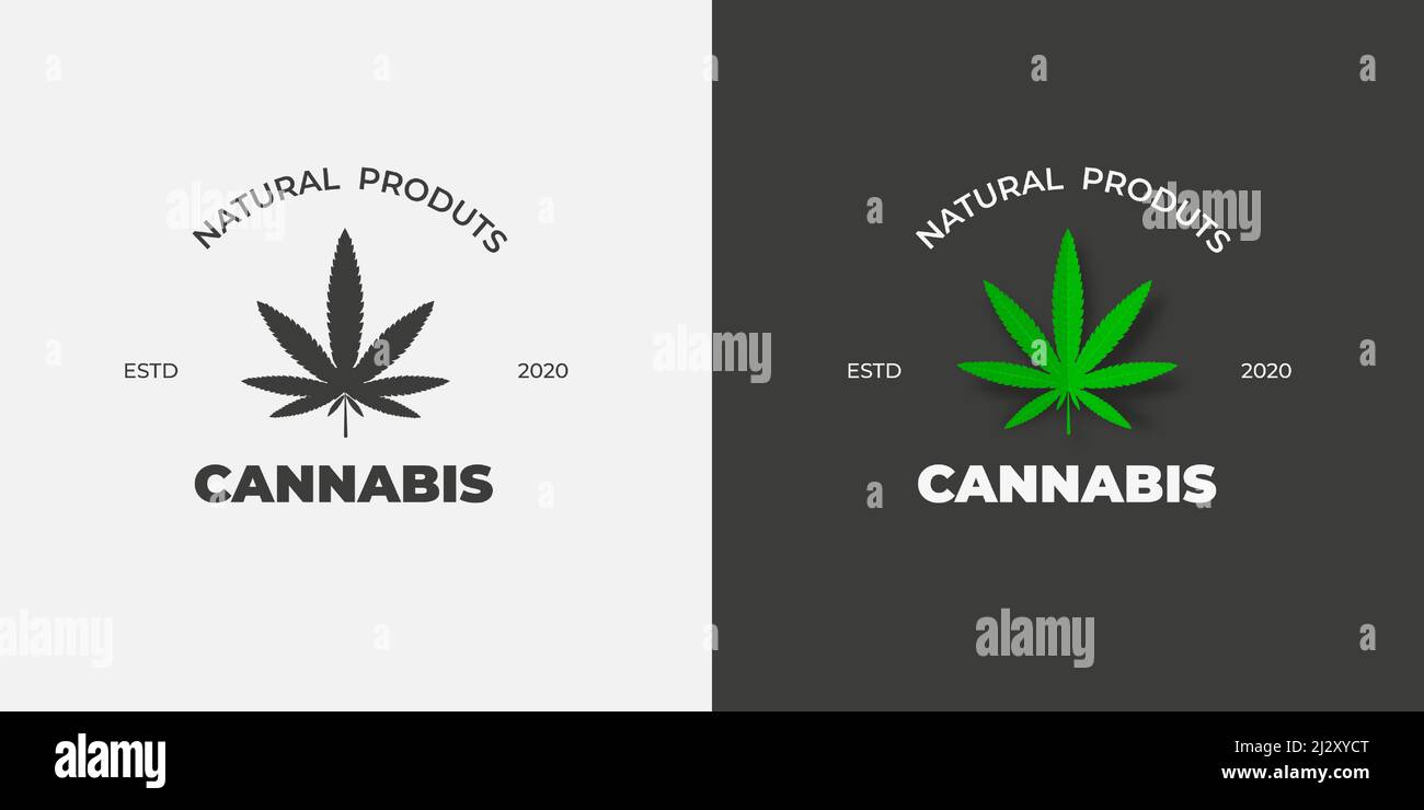 Graphic label with a green leaf of cannabis on a white and black background. Vector logo template with organic hemp cbd and thc. Sativa medical emblem Stock Vector