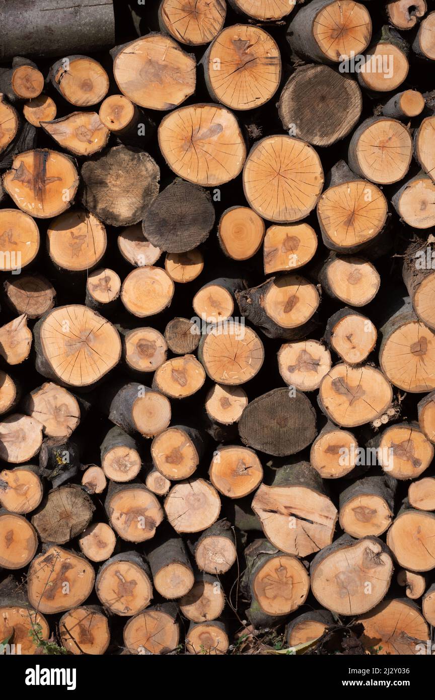 Firewood, heating with wood Stock Photo