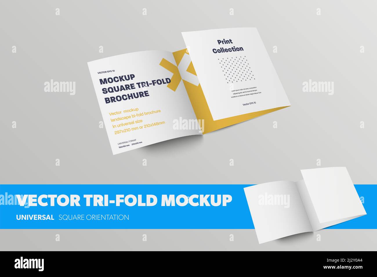 Half-open vector tri-fold template, front view, standard business ...