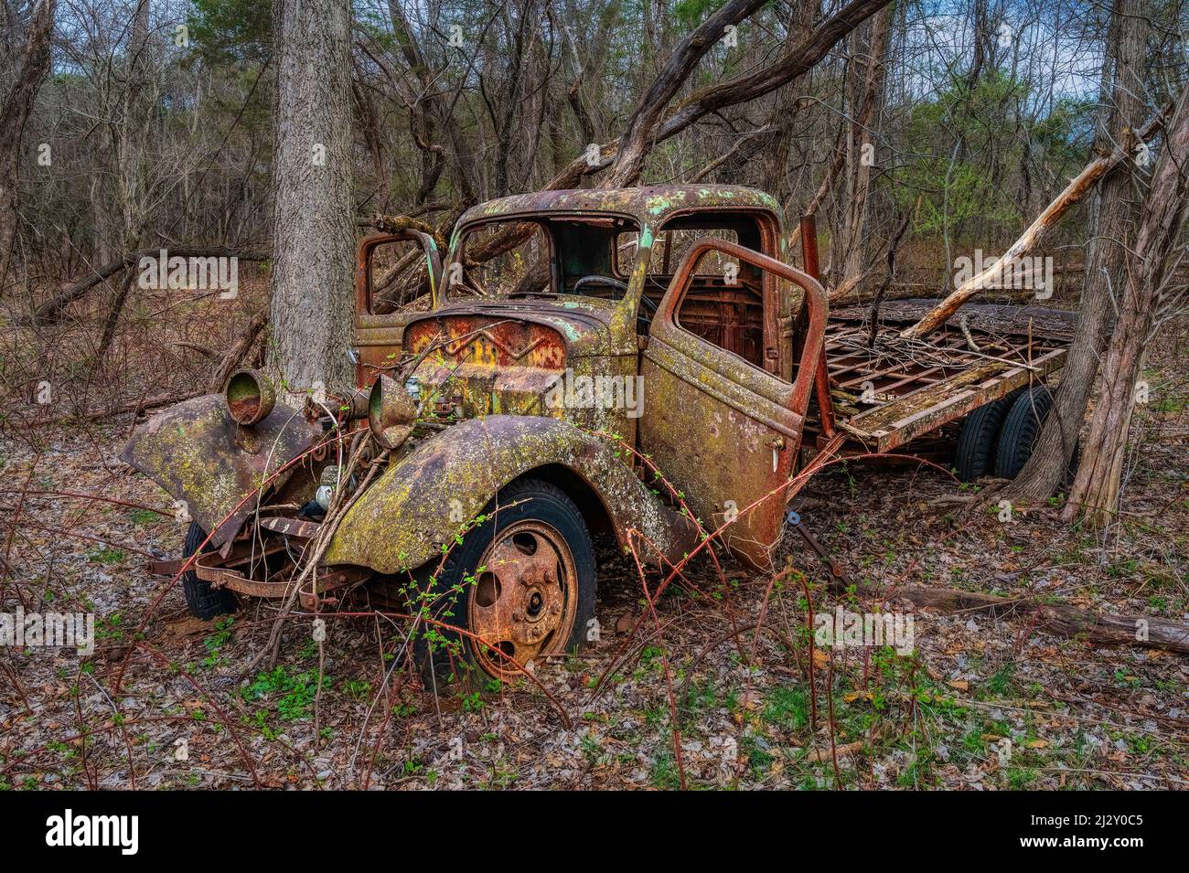 An old abandoned rusty truck in the forest Stock Photo - Alamy