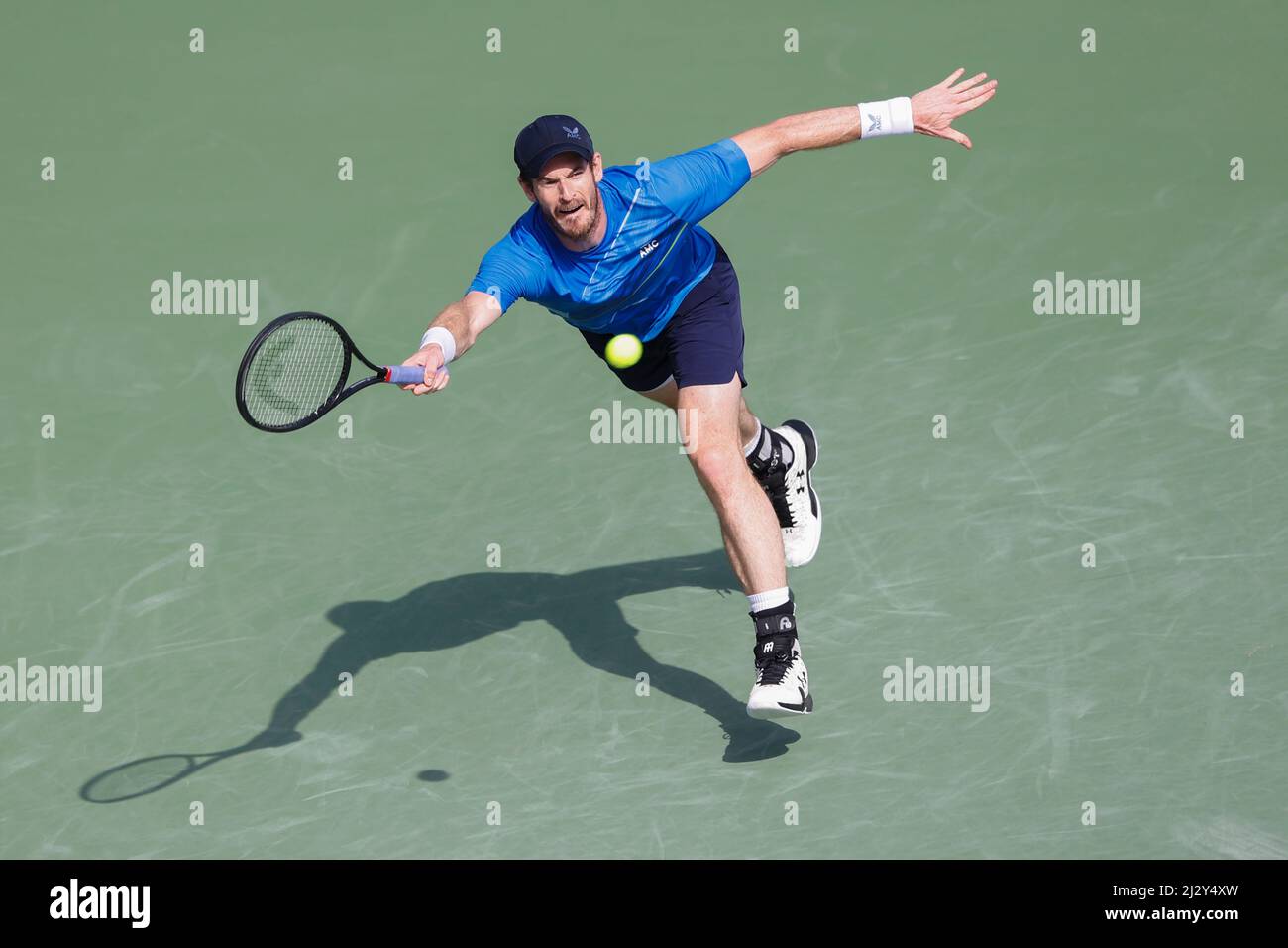 British tennis player Andy Murray playing forehand volley  shot at the Dubai Tennis Championships 2022, Dubai, United Arab Emirates Stock Photo