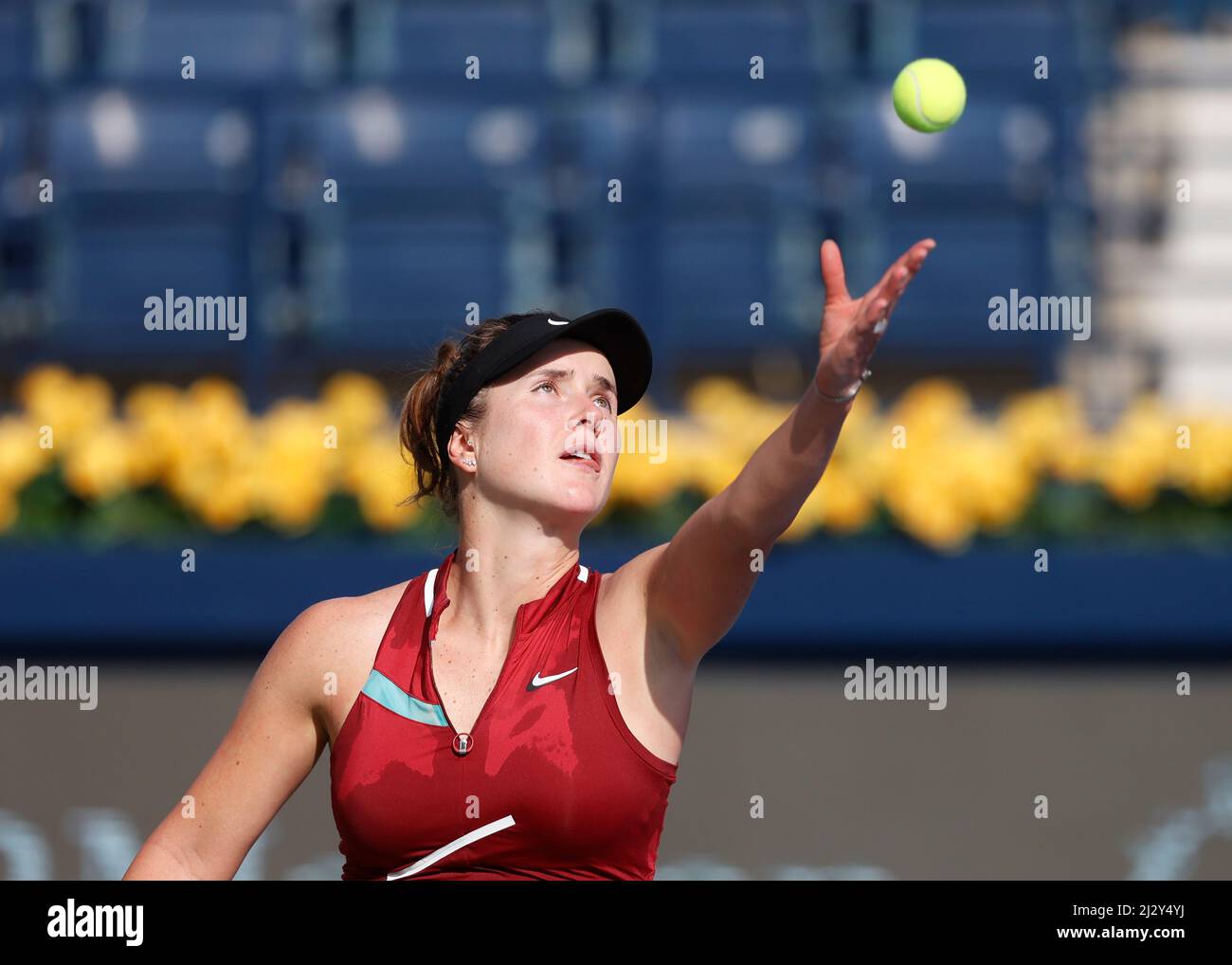 Dubai tennis championships 2022 hi-res stock photography and images - Alamy