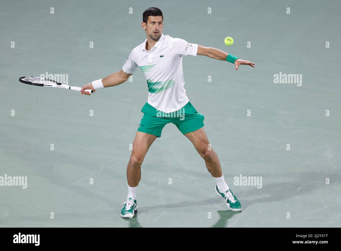 Serbian tennis player Novak Djokovic playing a high forehand volley  shot at the Dubai Tennis Championships 2022, Dubai, United Arab Emirates Stock Photo