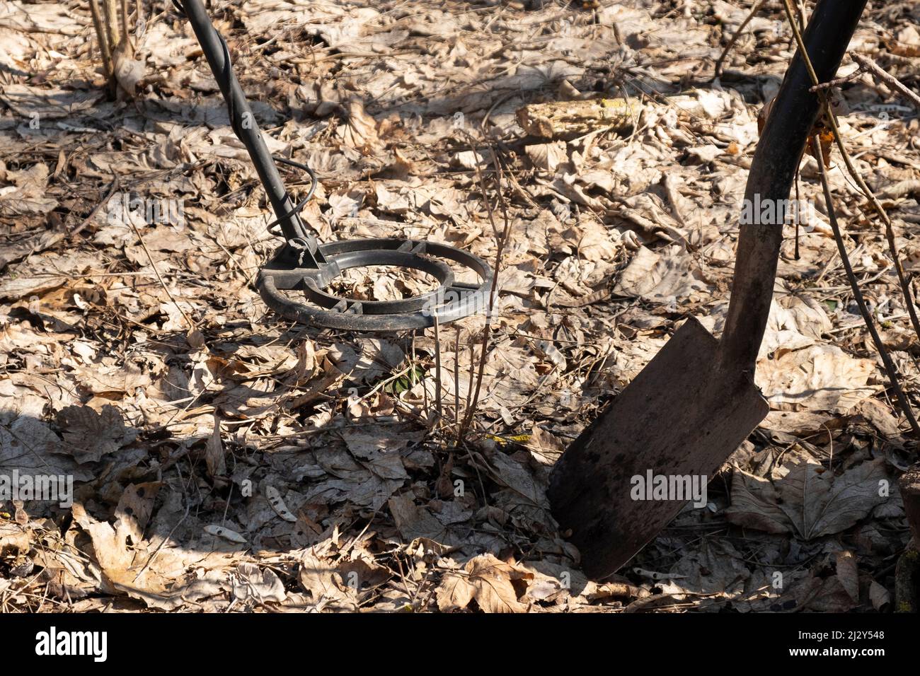 metal detector and shovel in spring forest, treasure hunt Stock Photo ...