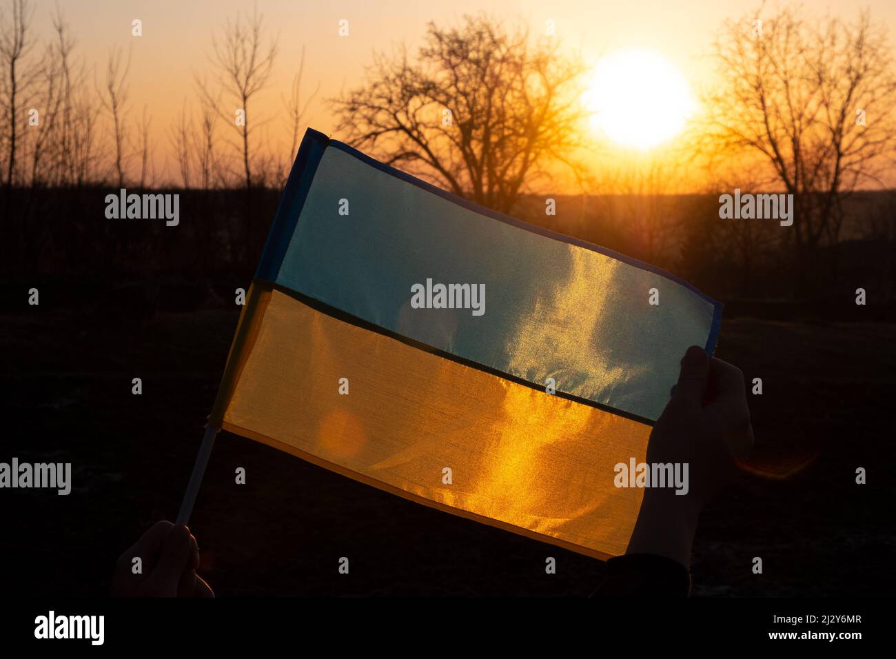 flag Ukraine against the backdrop of the setting sun of a free european country, Ukrainian victory. Stock Photo