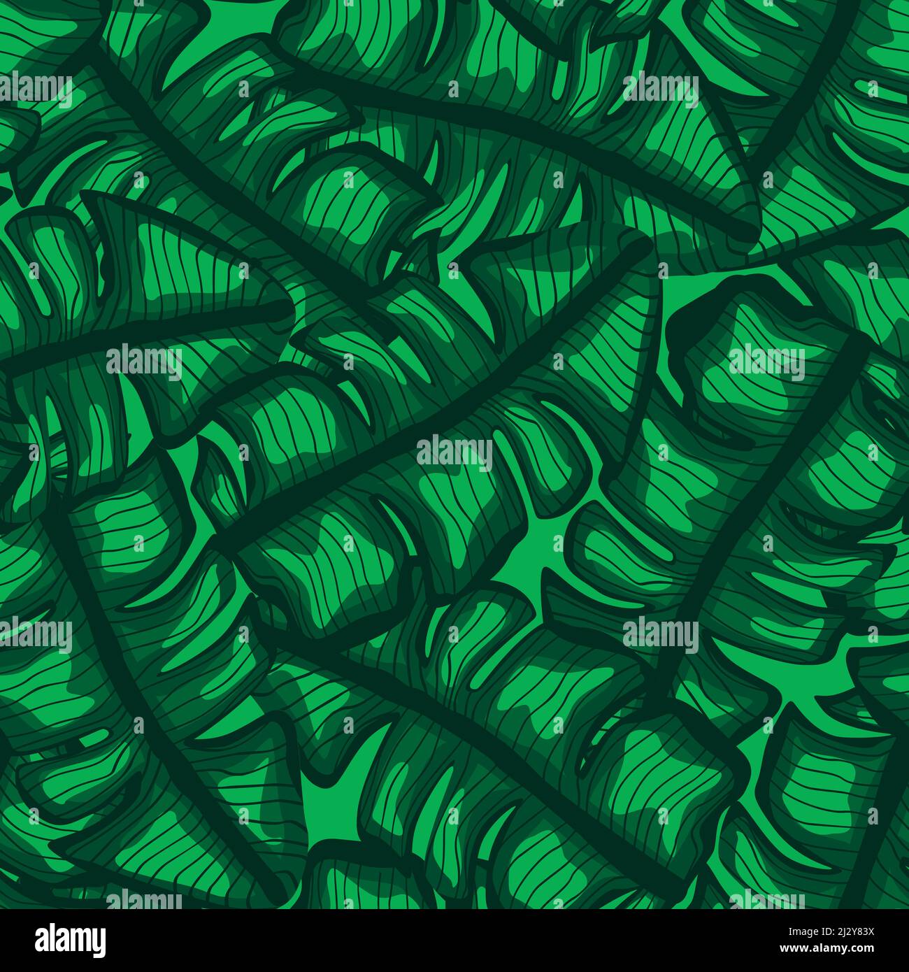 Banana leaf tropical seamless pattern. Jungle leaves background ...