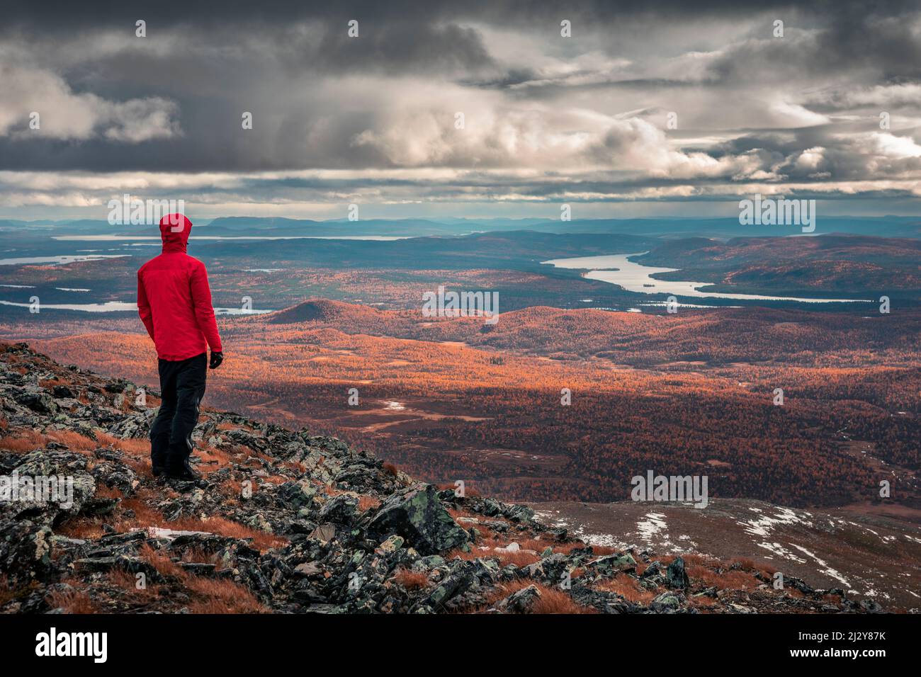 Hiker looks out over landscape with lakes in Pieljekaise National Park in autumn in Lapland in Sweden Stock Photo
