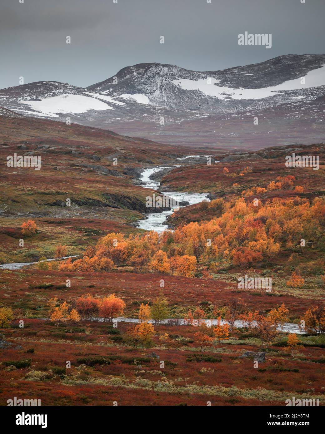 River with snowy mountains and trees in autumn along the Wilderness Road, on the Vildmarksvagen plateau in Jämtland in autumn in Sweden Stock Photo
