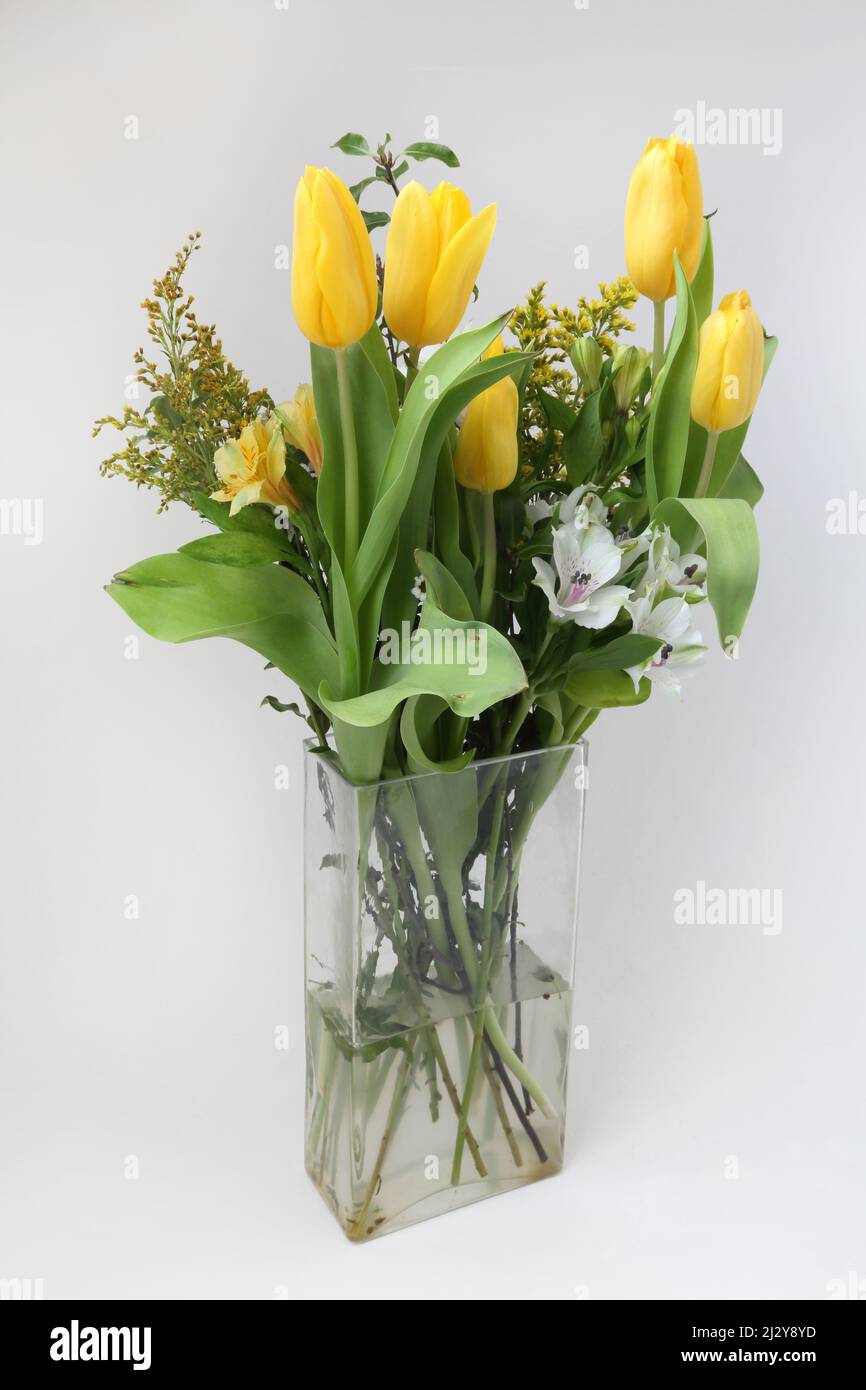 Bouquet of Tulip Flowers In Vase Mother's Day Gift Stock Photo