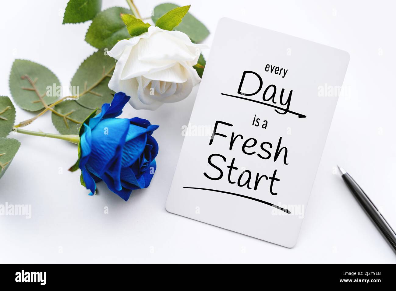 White Paper With Inspirational Quote With Rose Flowers Decoration. Every Day is A Fresh Start. Stock Photo