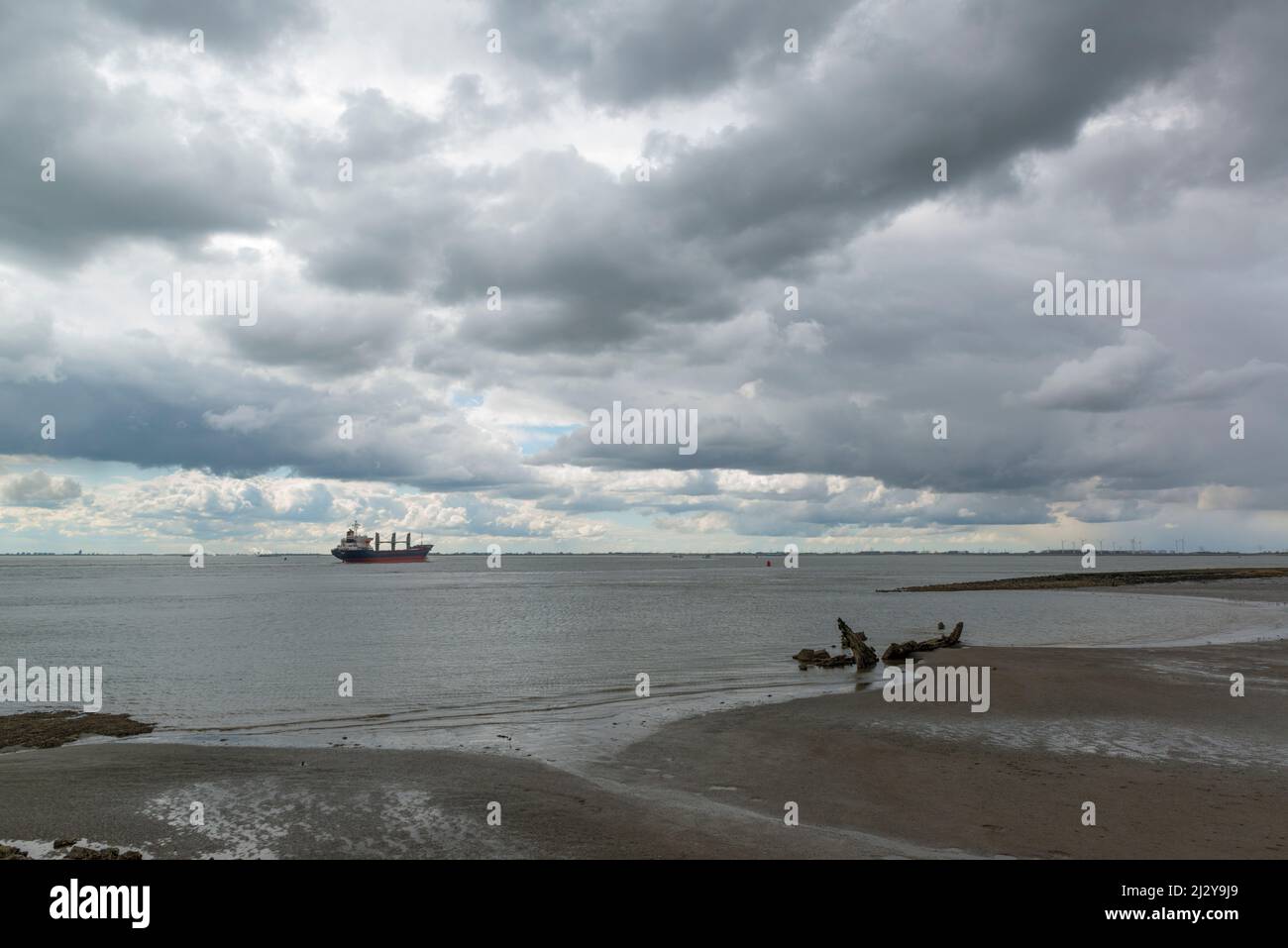 A wooden ship wreck at the mudflats near Hansweert at the Western Scheldt and a passing ship .Zeeland, Netherlands Stock Photo