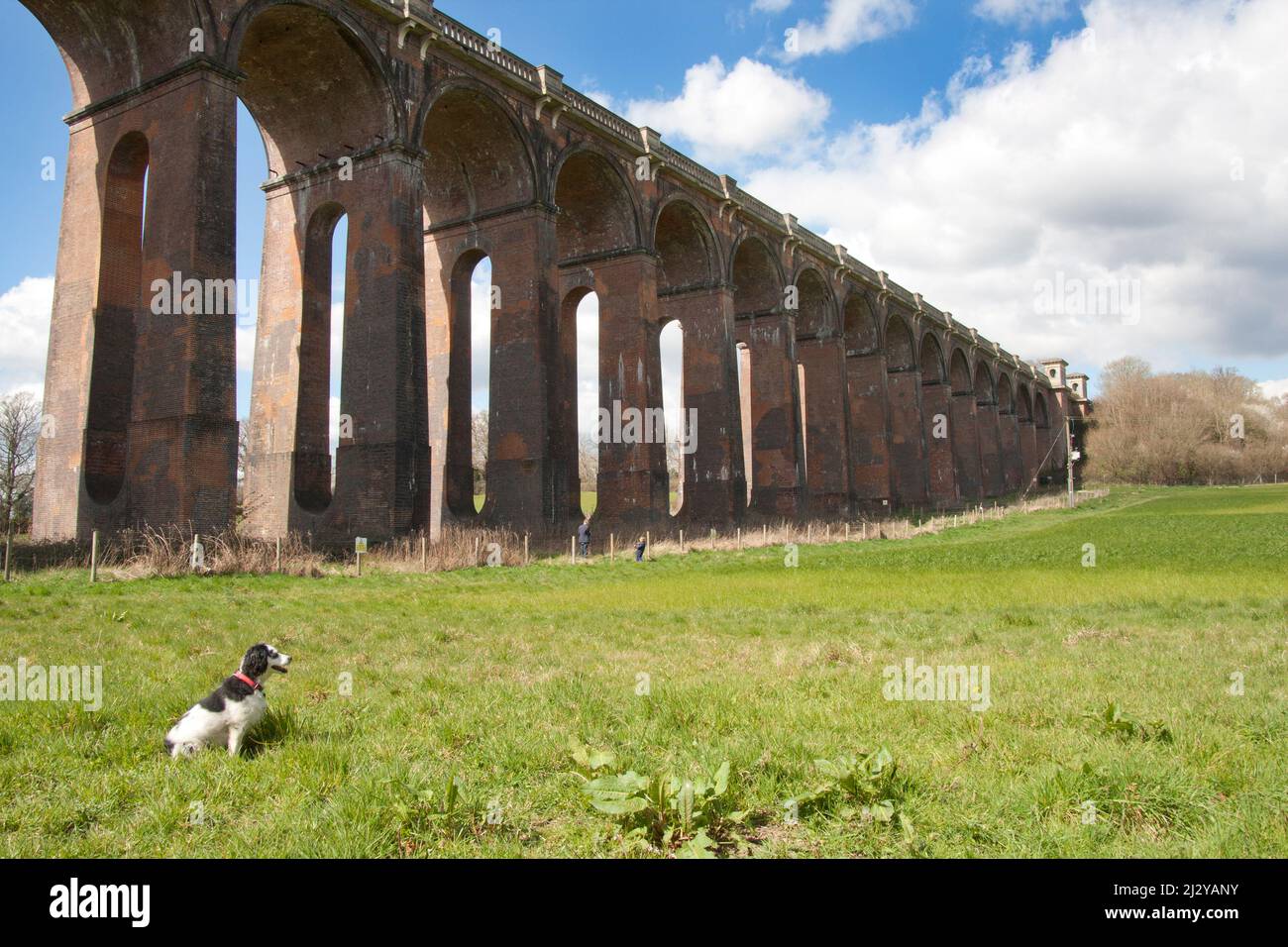 Balcombe viaduct built in 1940 for the London to Brighton railway rises to 92 feet over the Ouse valley, West Sussex, England Stock Photo