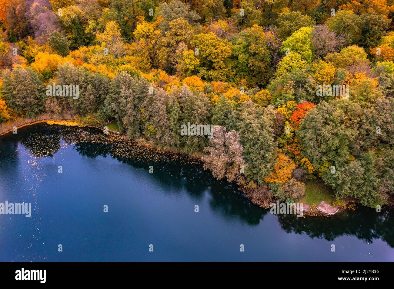 Autumn aerial view of a colorful forest by a blue lake in Hessen, Germany Stock Photo
