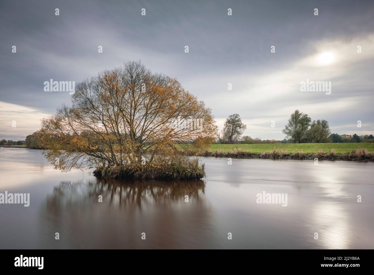 Tree in the river Jümme, Detern, East Friesland, Lower Saxony, Germany, Europe Stock Photo