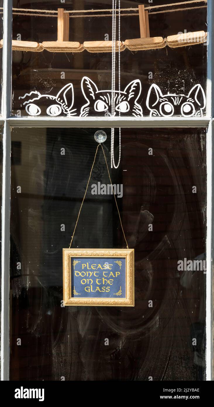 https://c8.alamy.com/comp/2J2YBAE/please-dont-tap-on-the-glass-sign-in-window-of-coffe-cats-cat-cafe-the-strait-lincoln-city-2022-2J2YBAE.jpg