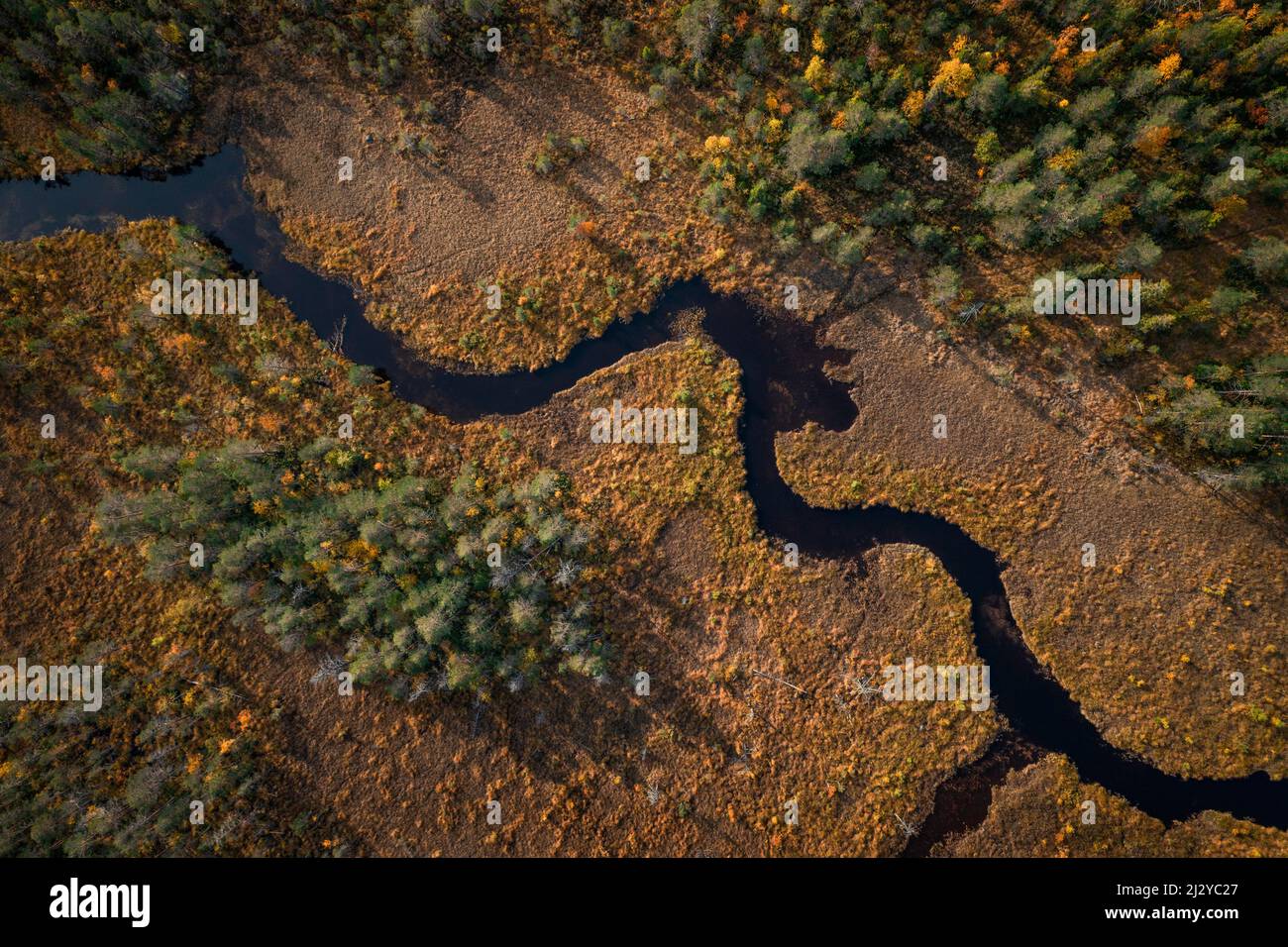 River with forest in autumn in Jämtland in Sweden from above Stock Photo