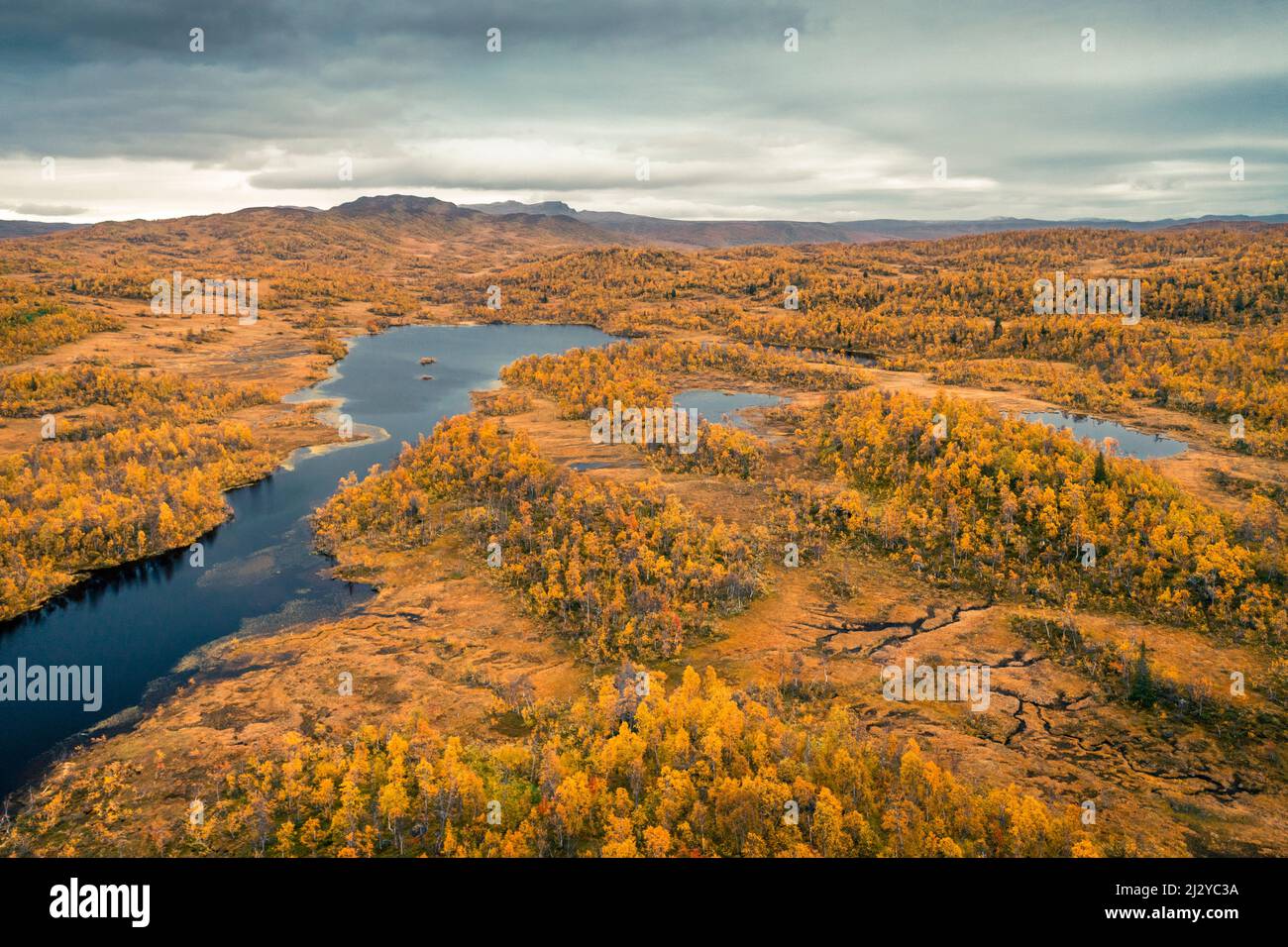 Panoramic road Wilderness Road along a lake, with mountains and trees in autumn in Jämtland in Sweden from above Stock Photo